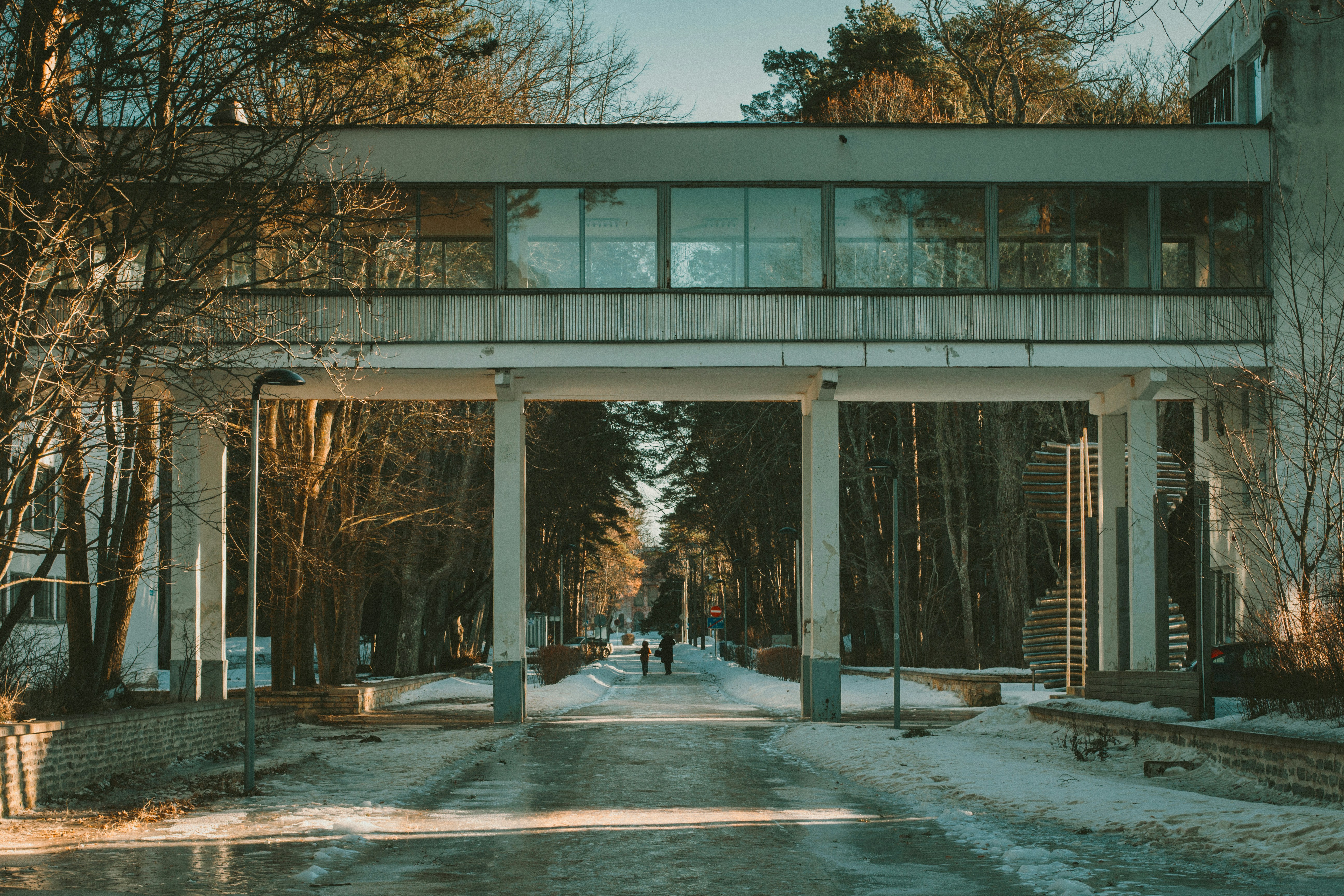 Photo by maximyuryshev