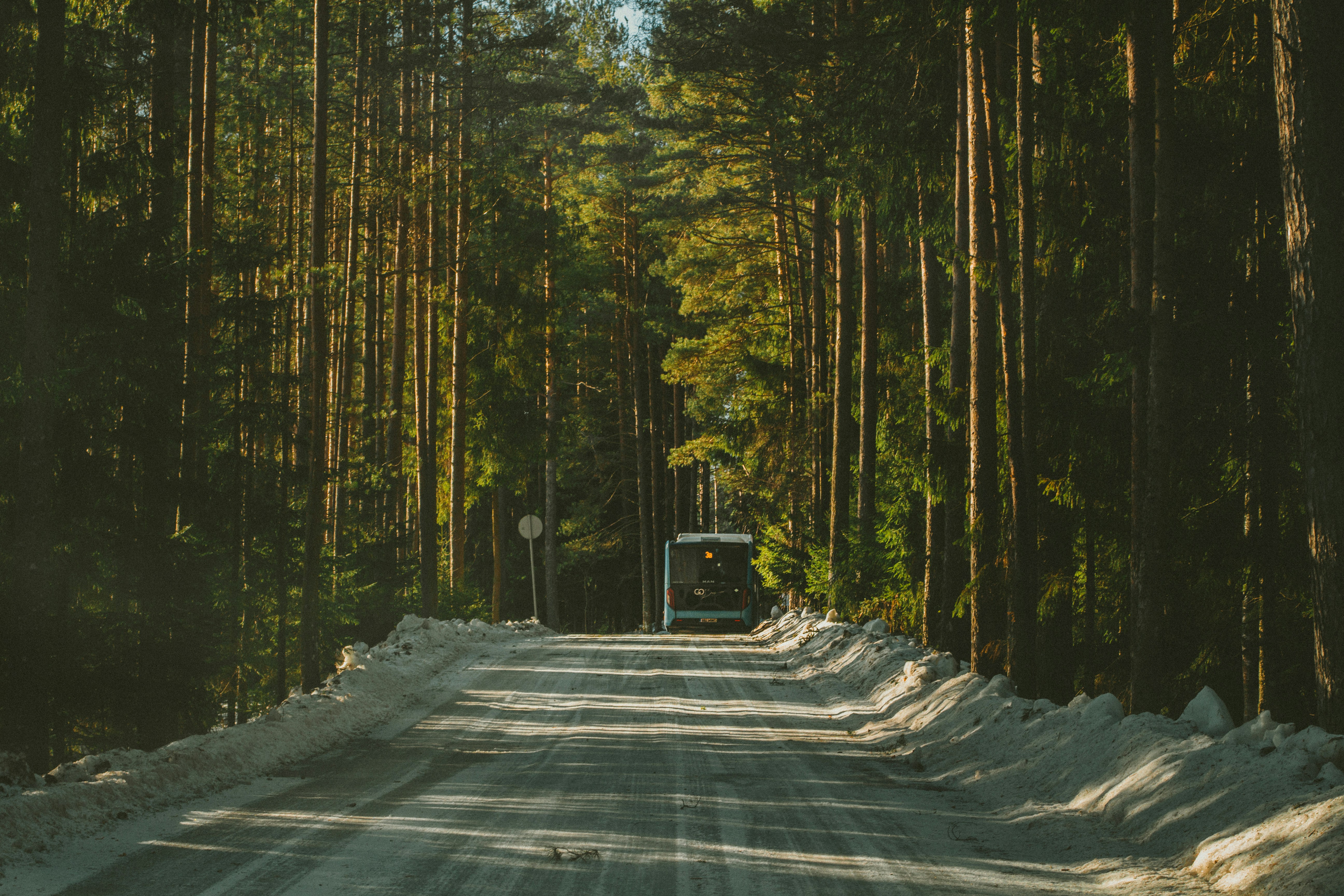 Photo by maximyuryshev