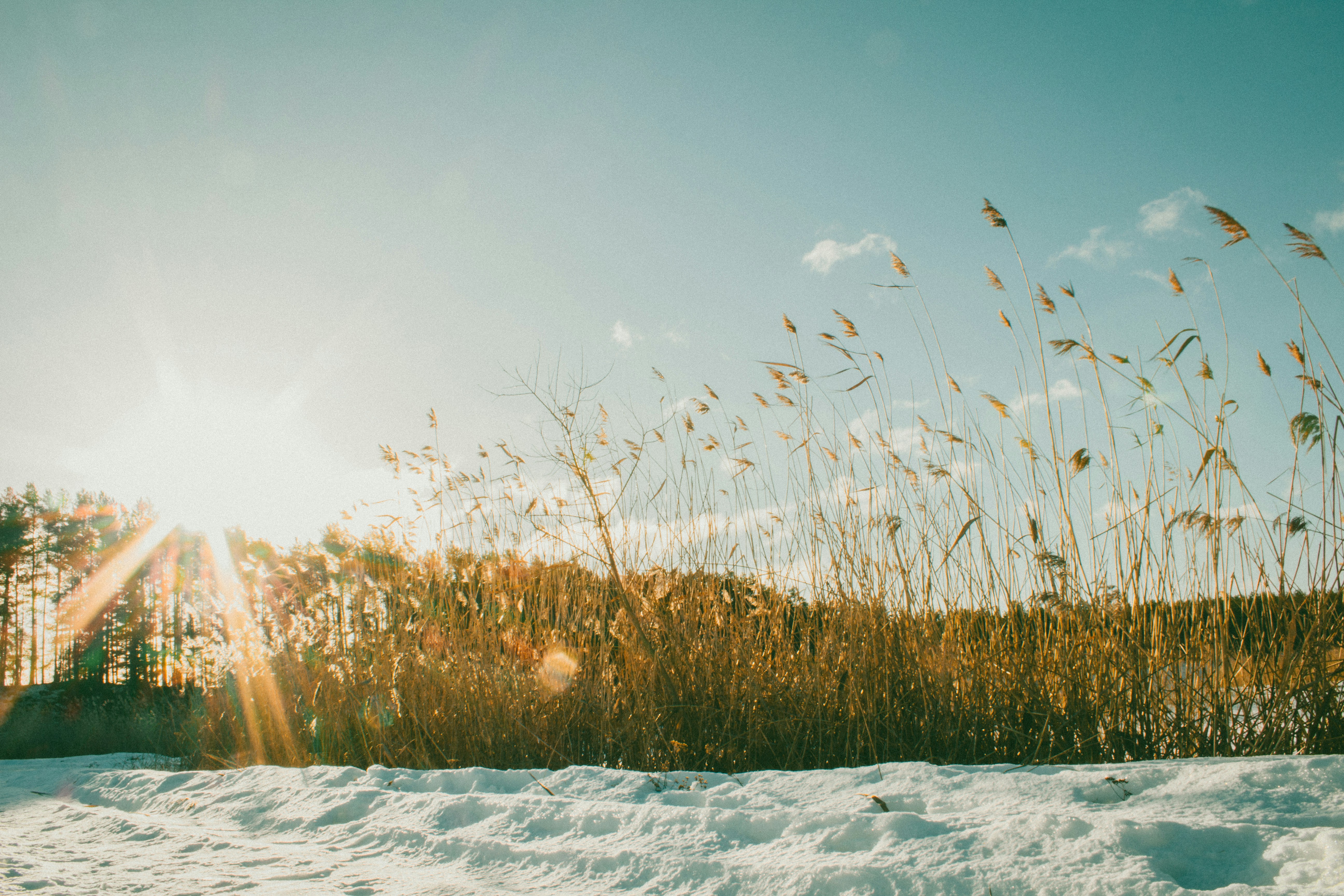 Photo by maximyuryshev