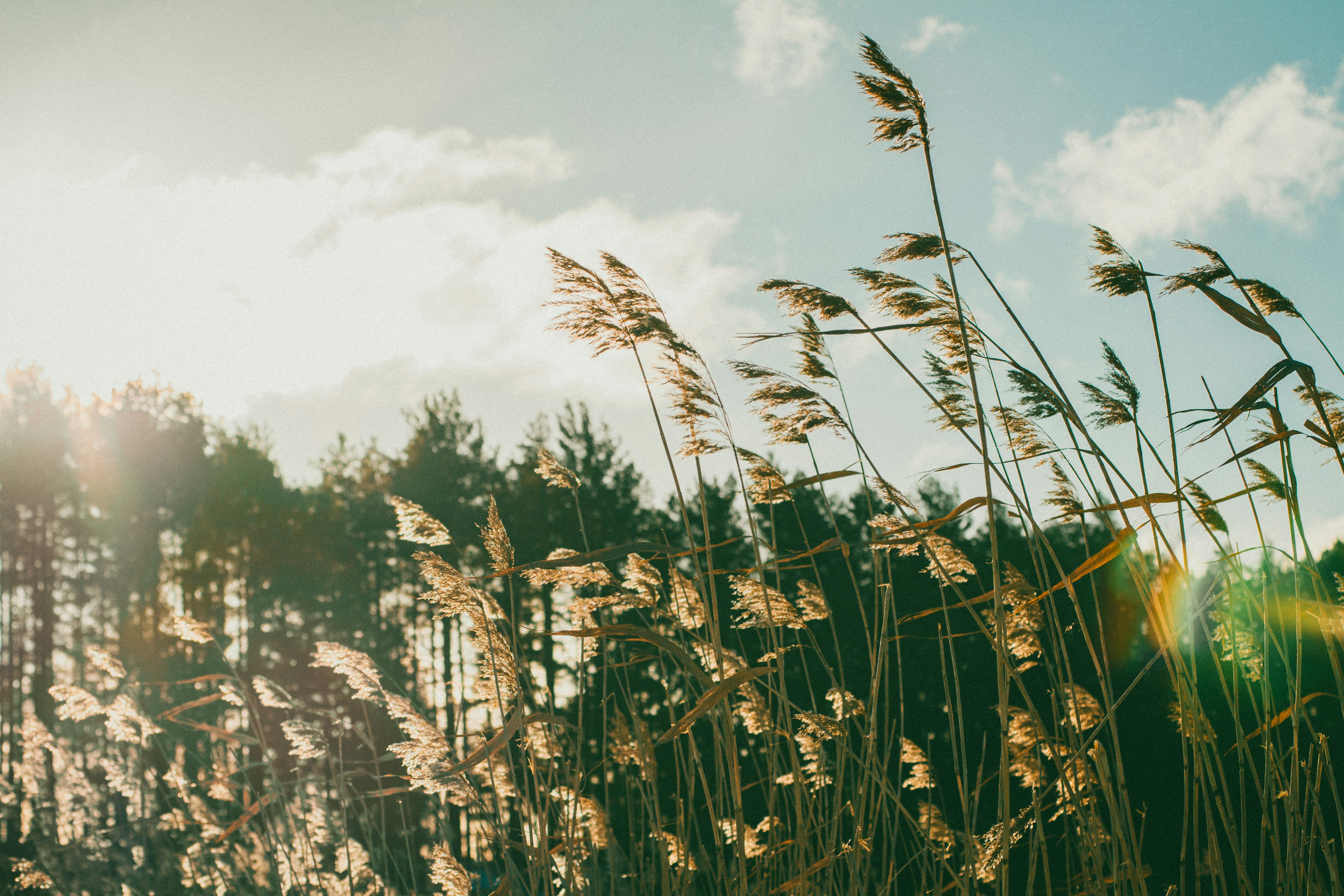 Photo by maximyuryshev