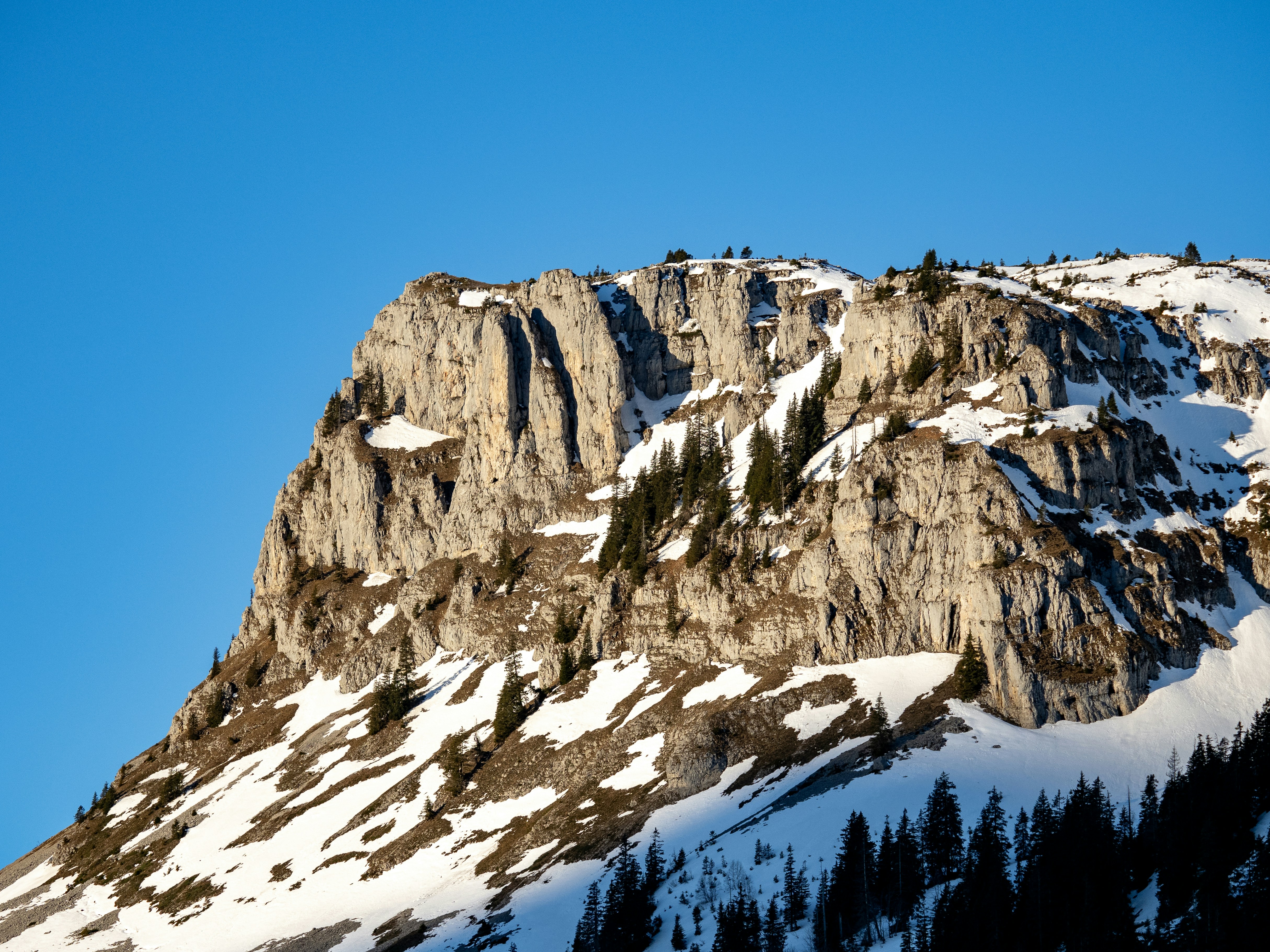 apprentissage suisse