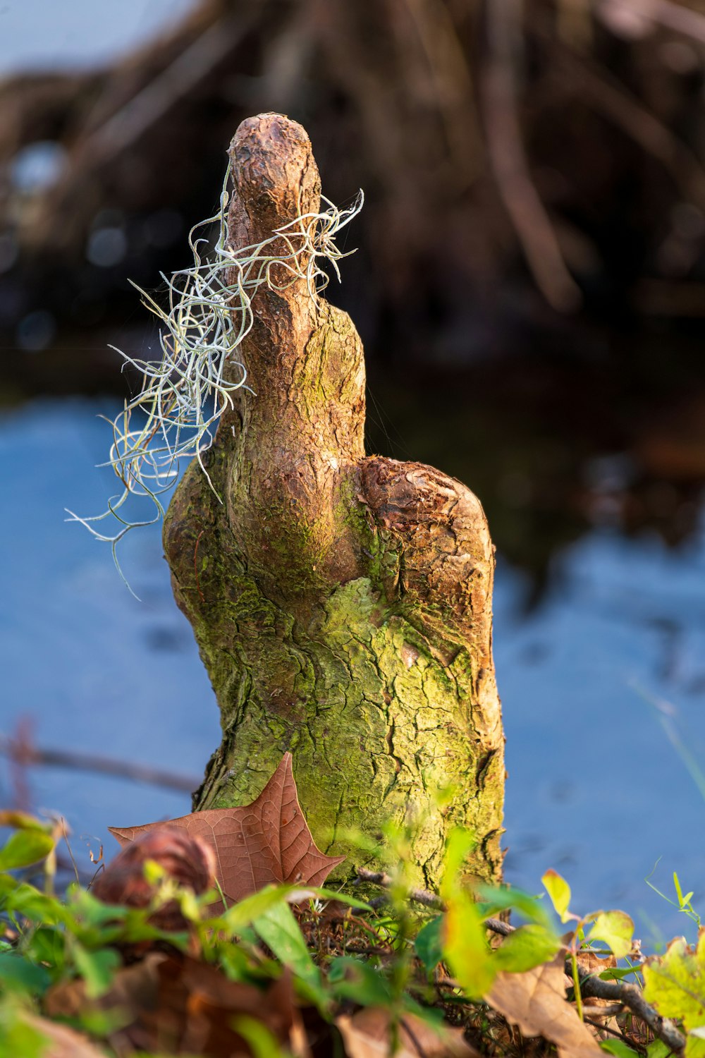 a statue of a person with vines on it