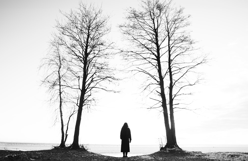 a person standing in front of two tall trees