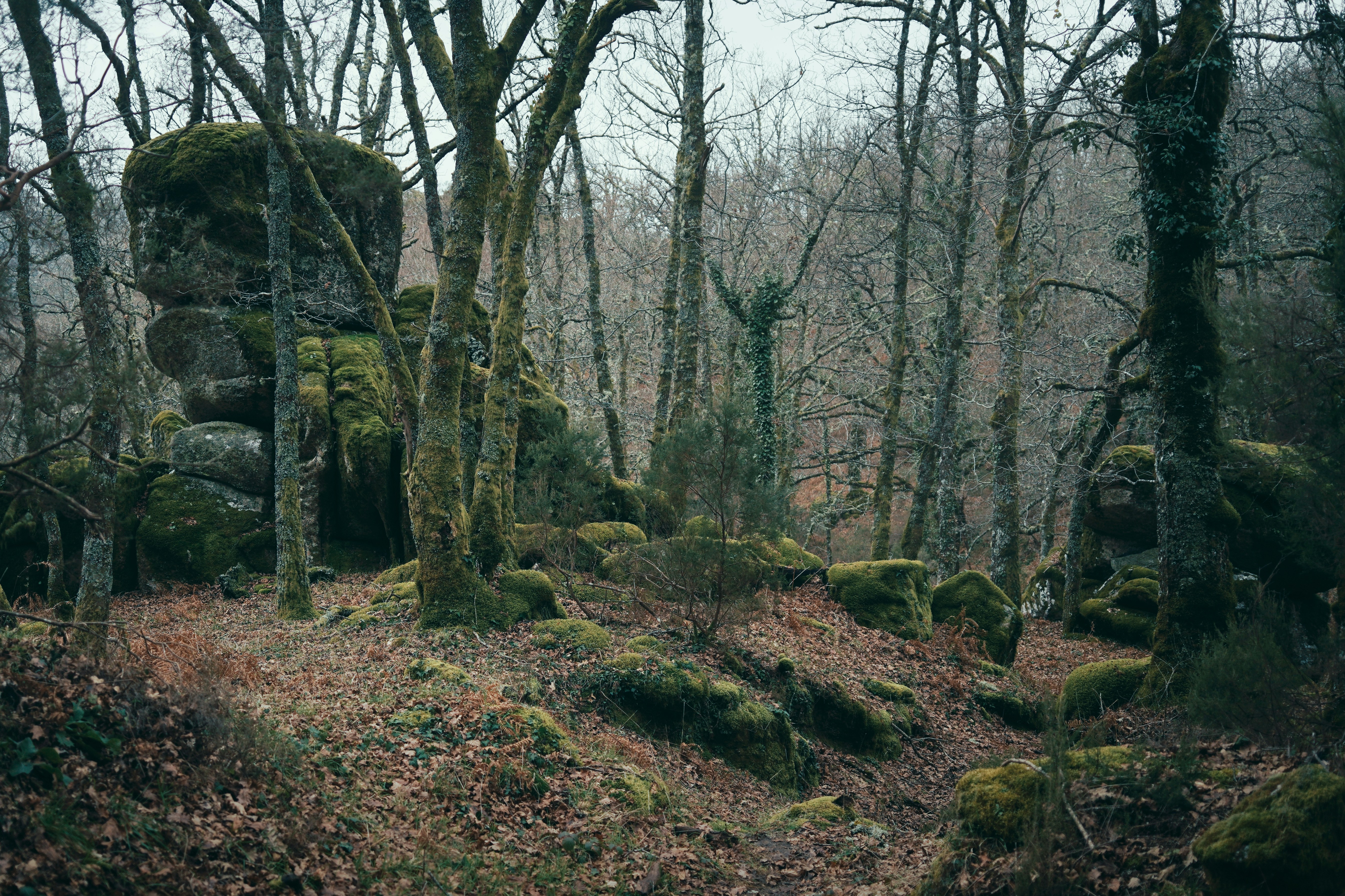 Photo by yevhenii_ometsynskyi