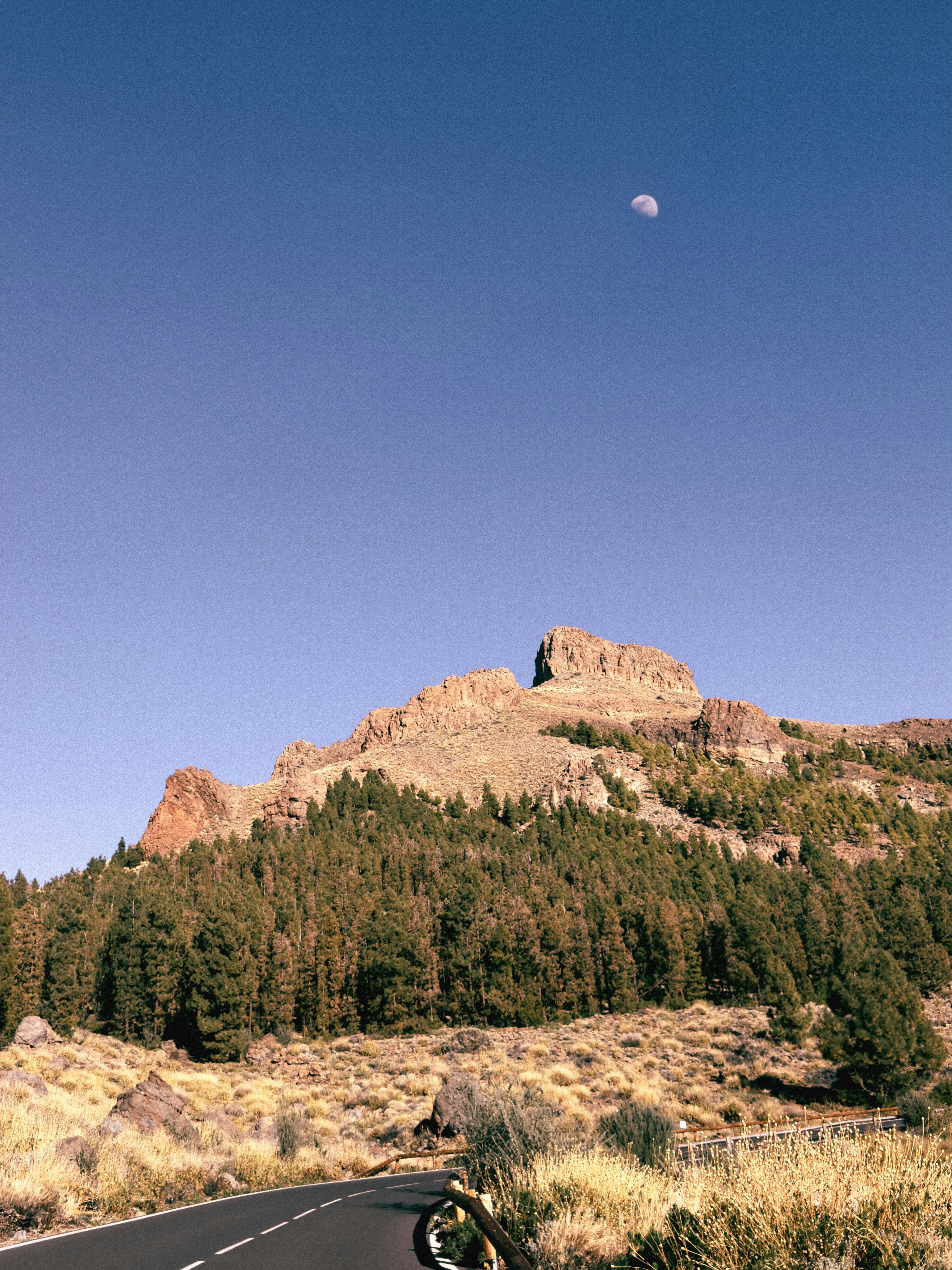 Iphone Nature Pictures | Download Free Images on Unsplash