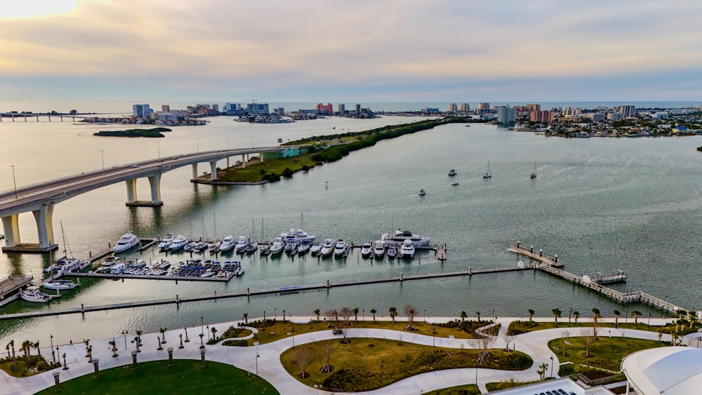 an aerial view of a harbor with a bridge in the background