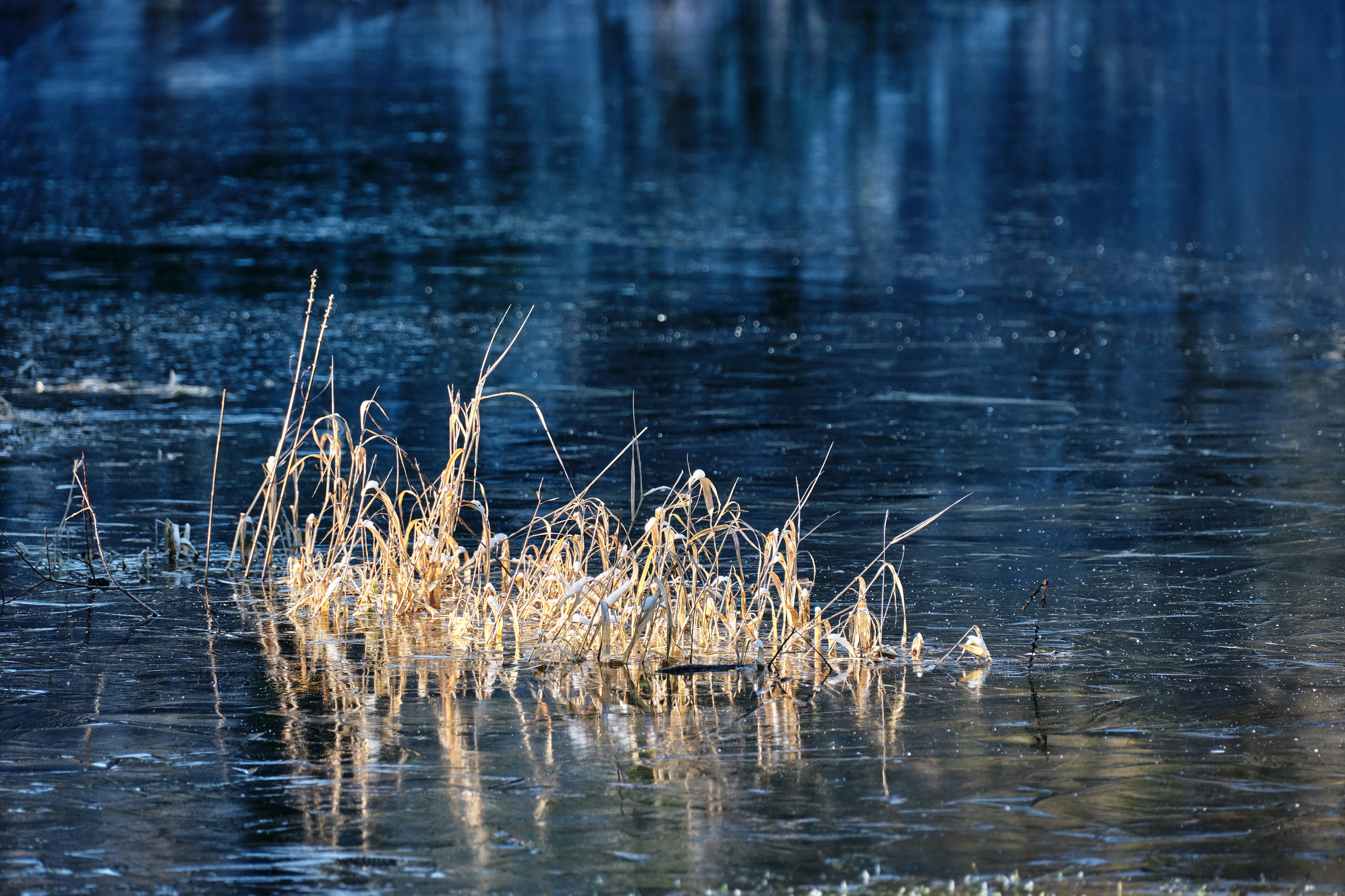 Photo by marcus_ganahl