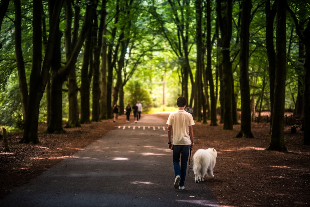 a person walking a dog down a path in the woods