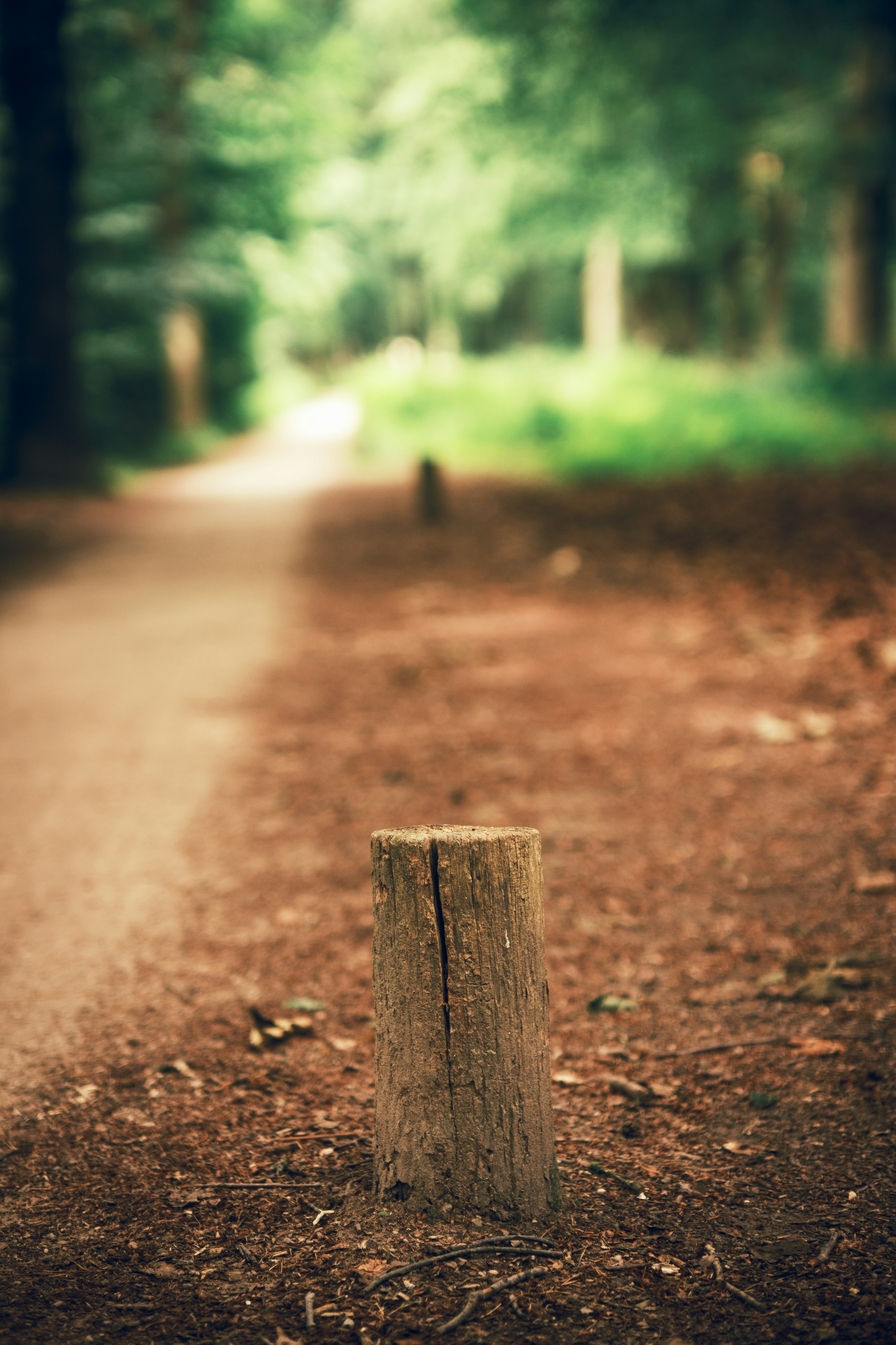 Photo by haberdoedas2