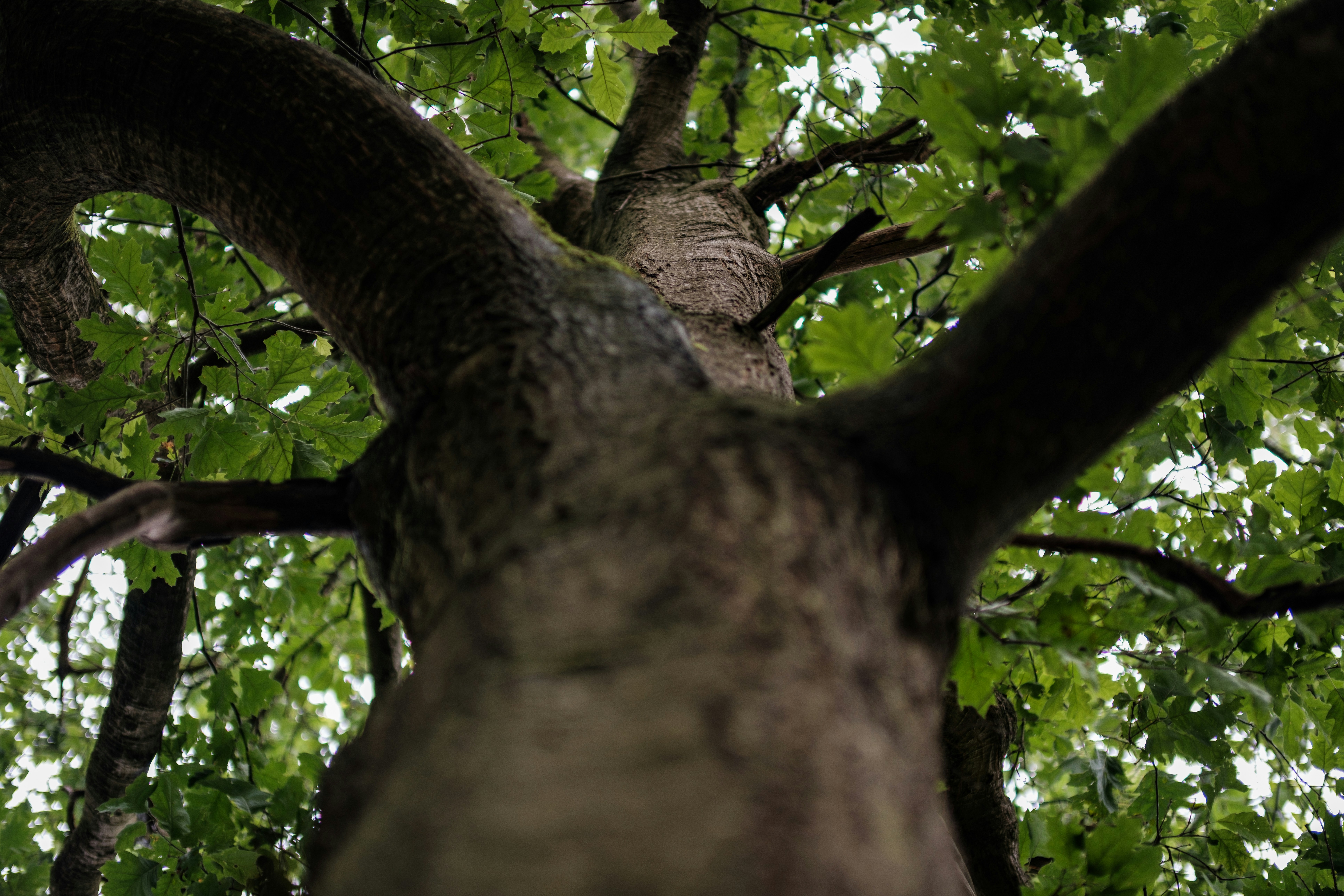 Photo by haberdoedas2