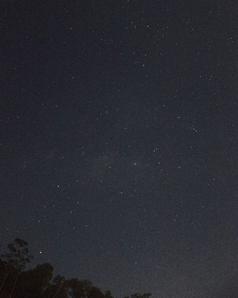 a night sky with stars and trees in the foreground