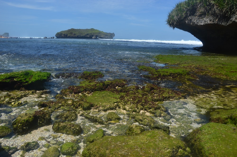 a body of water surrounded by rocks and grass