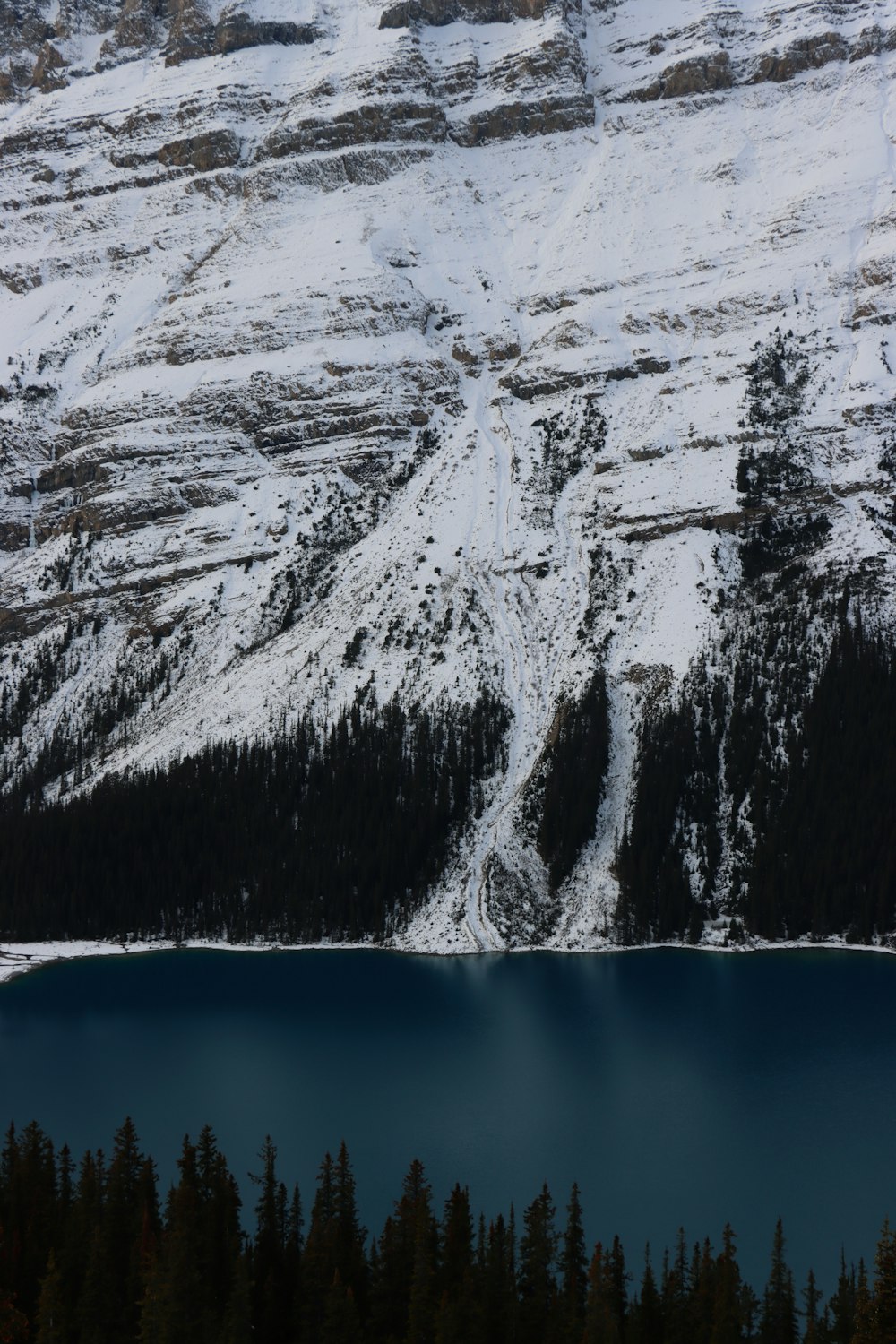 a snow covered mountain with a lake in the foreground