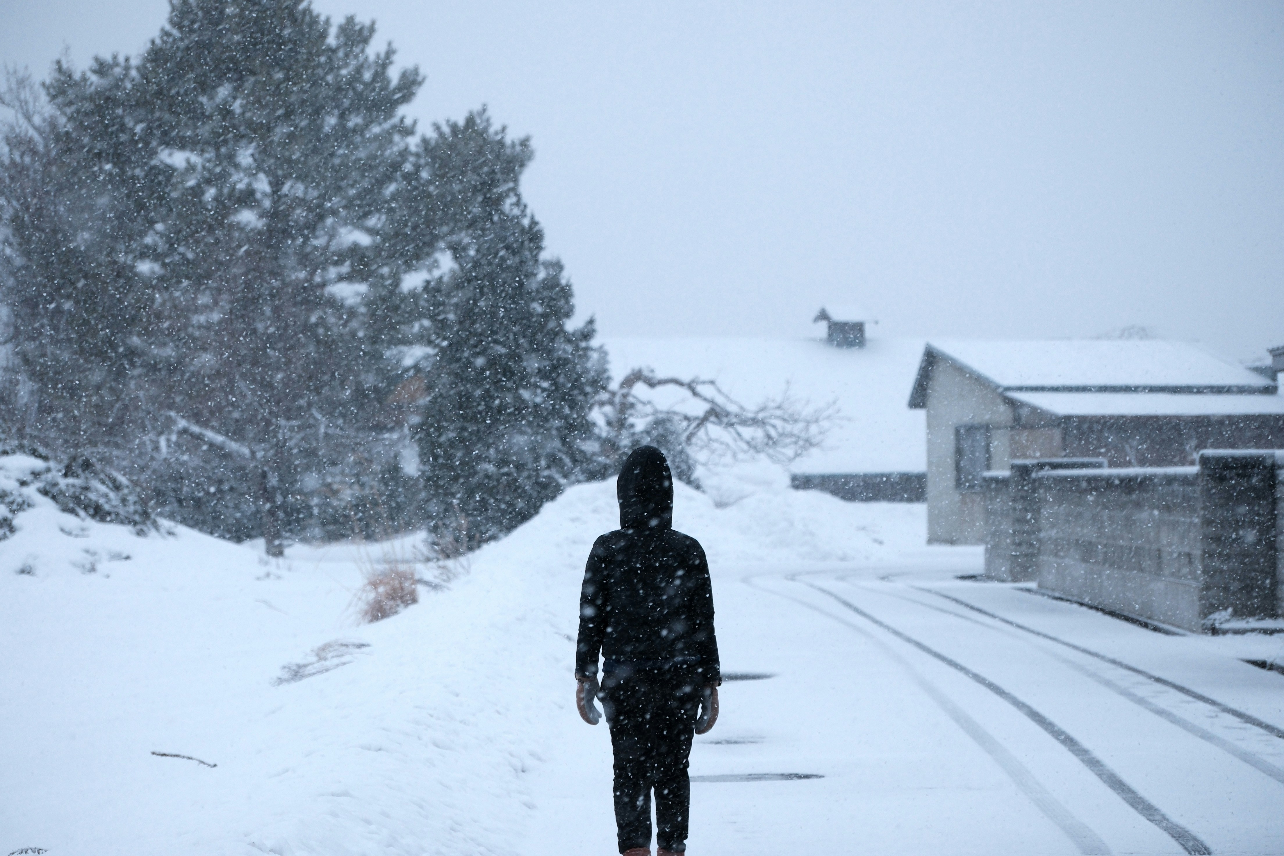Photo by seiya_maeda