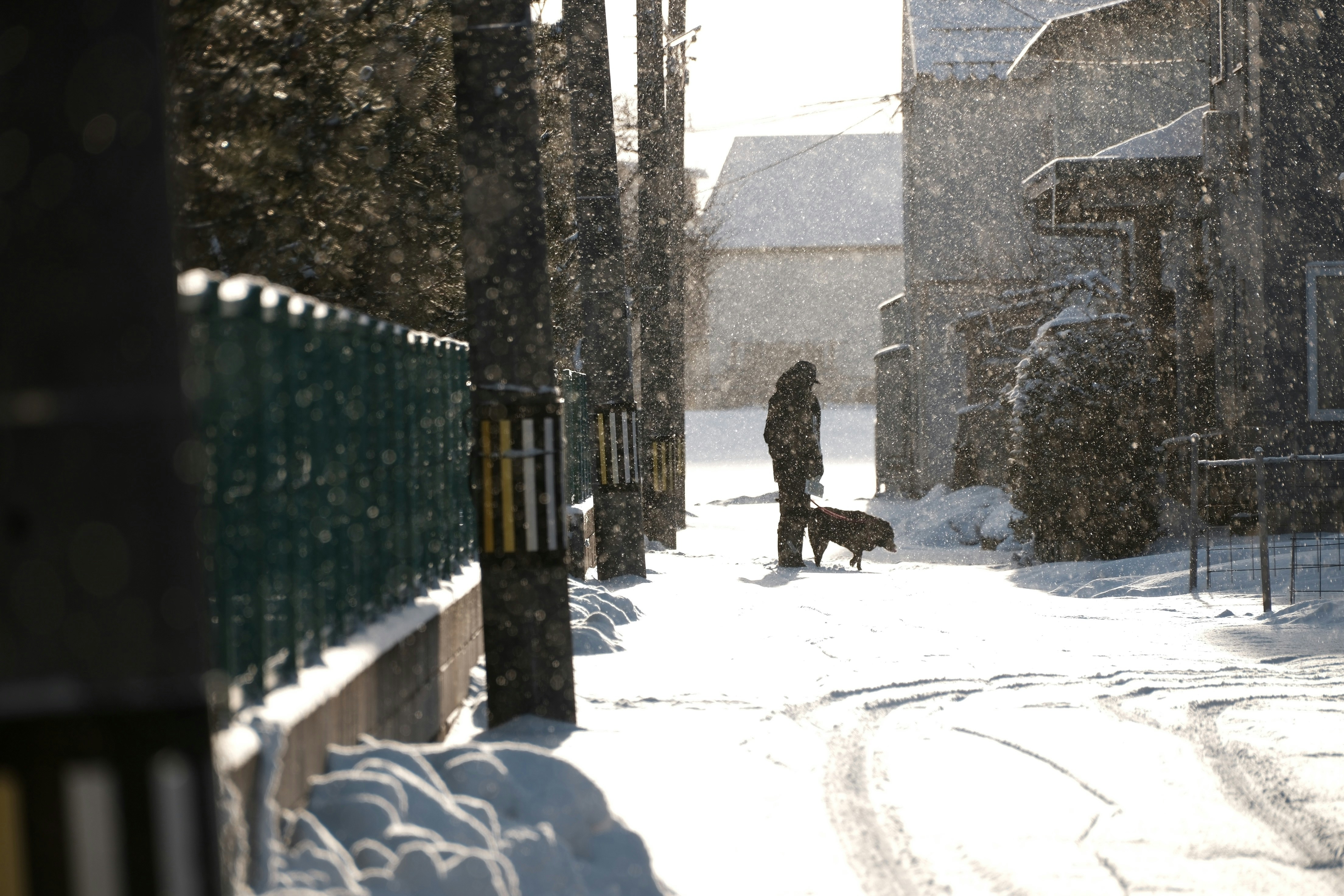 Photo by seiya_maeda