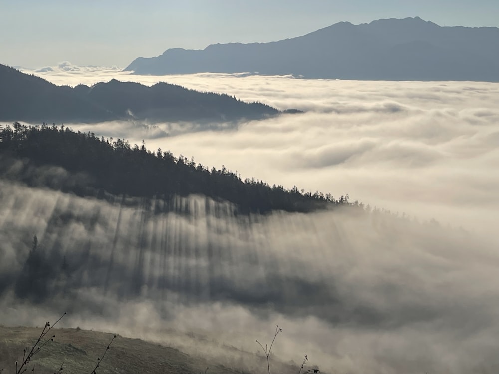 uma vista de uma montanha coberta de nevoeiro