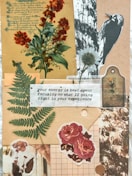 a collage of different types of flowers and leaves