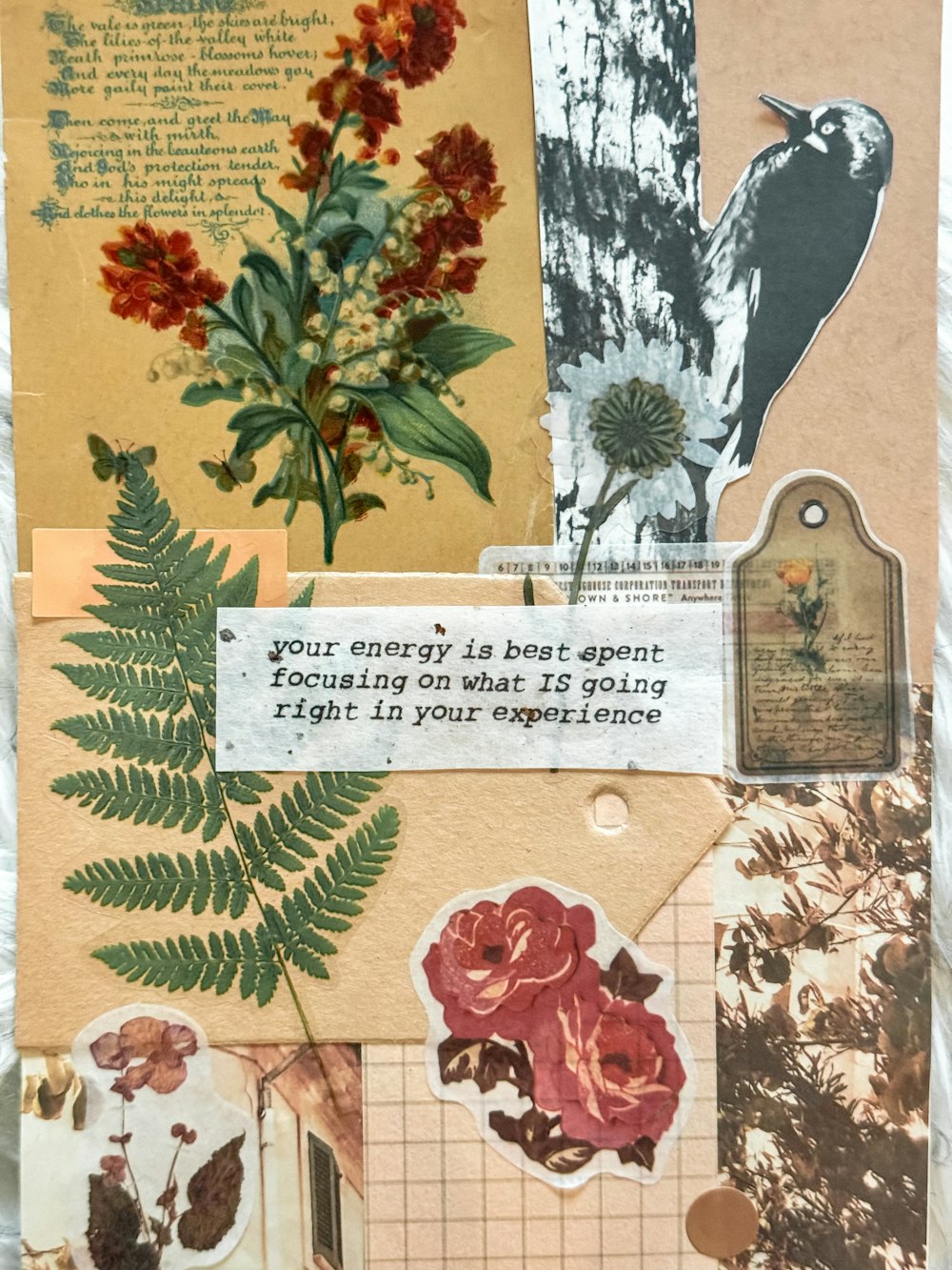 a collage of different types of flowers and leaves