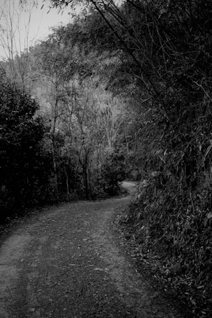 a black and white photo of a dirt road