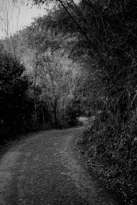 a black and white photo of a dirt road