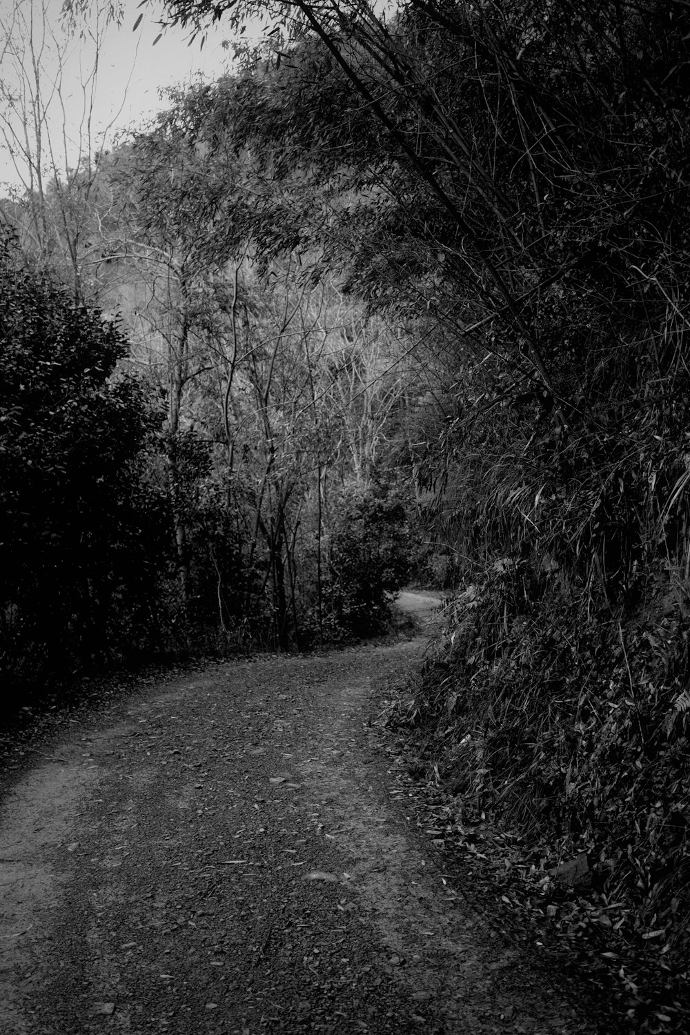 a black and white photo of a dirt road