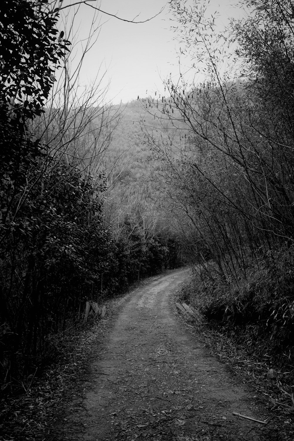 a black and white photo of a dirt road