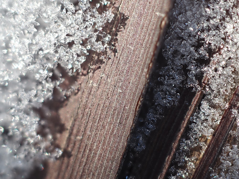 a close up of a piece of wood with ice on it