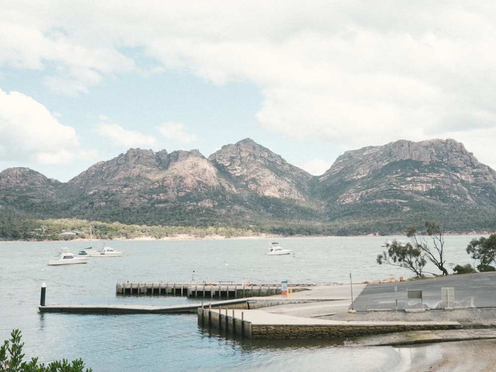 a body of water surrounded by mountains and trees