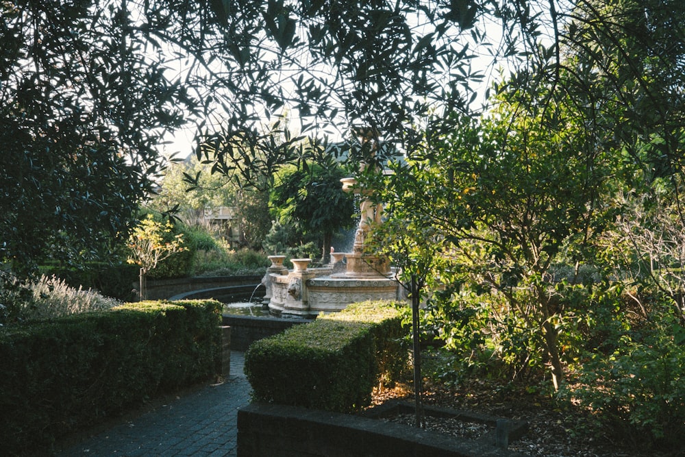 a garden with a fountain surrounded by trees