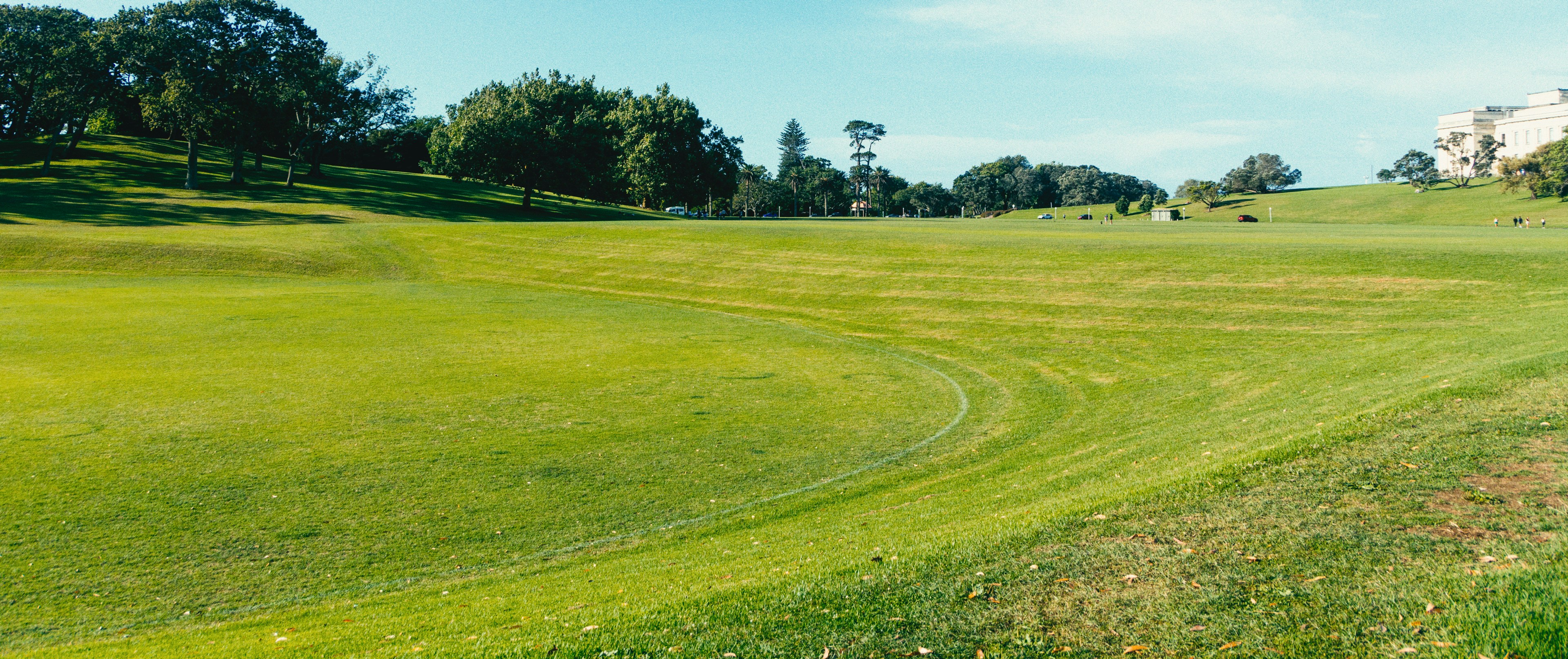 Photos near the Auckland Domain. Round curves of mowed field