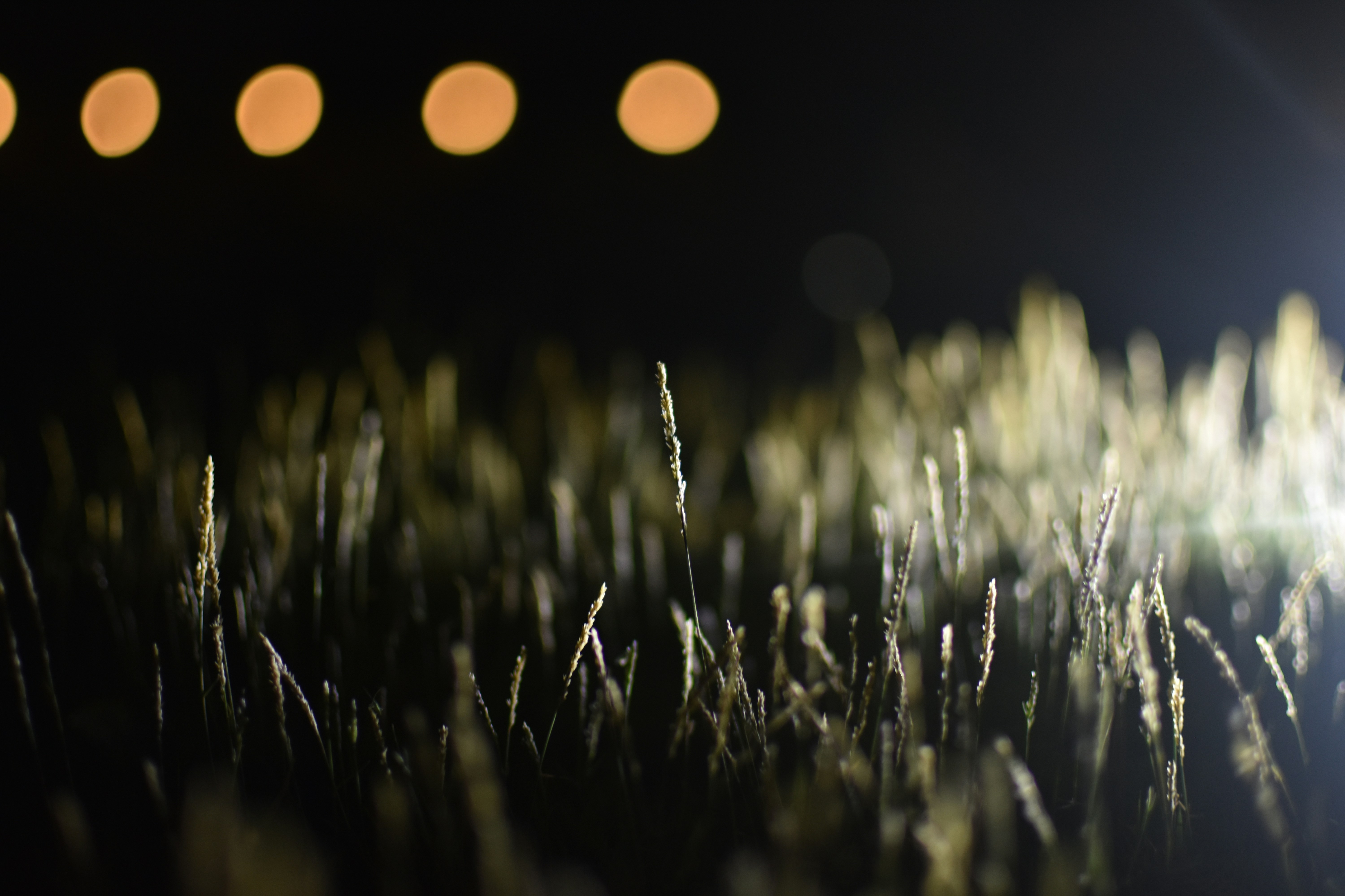 Outliers Pictures | Download Free Images on Unsplash