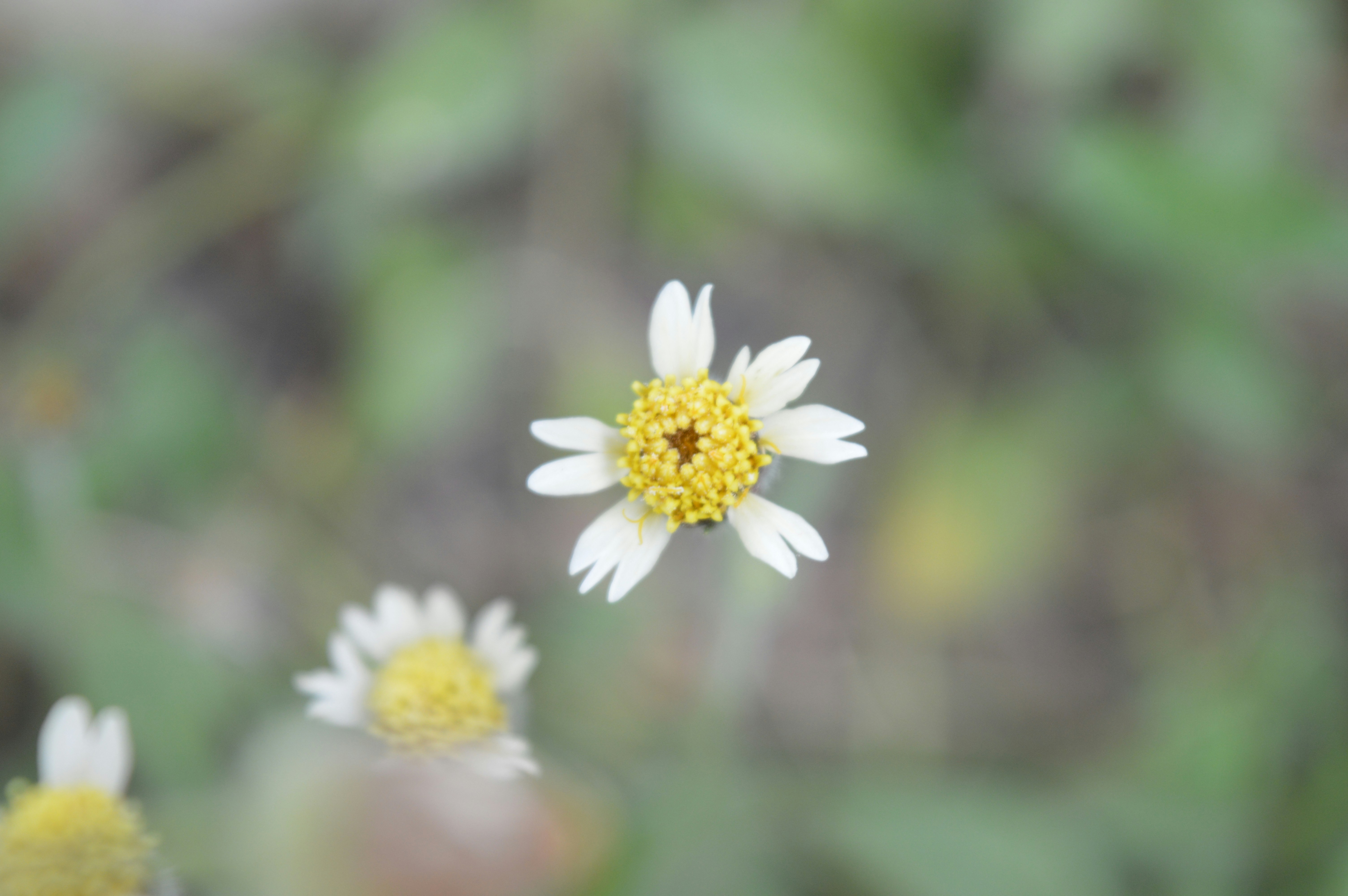 Photo by ally_belleee