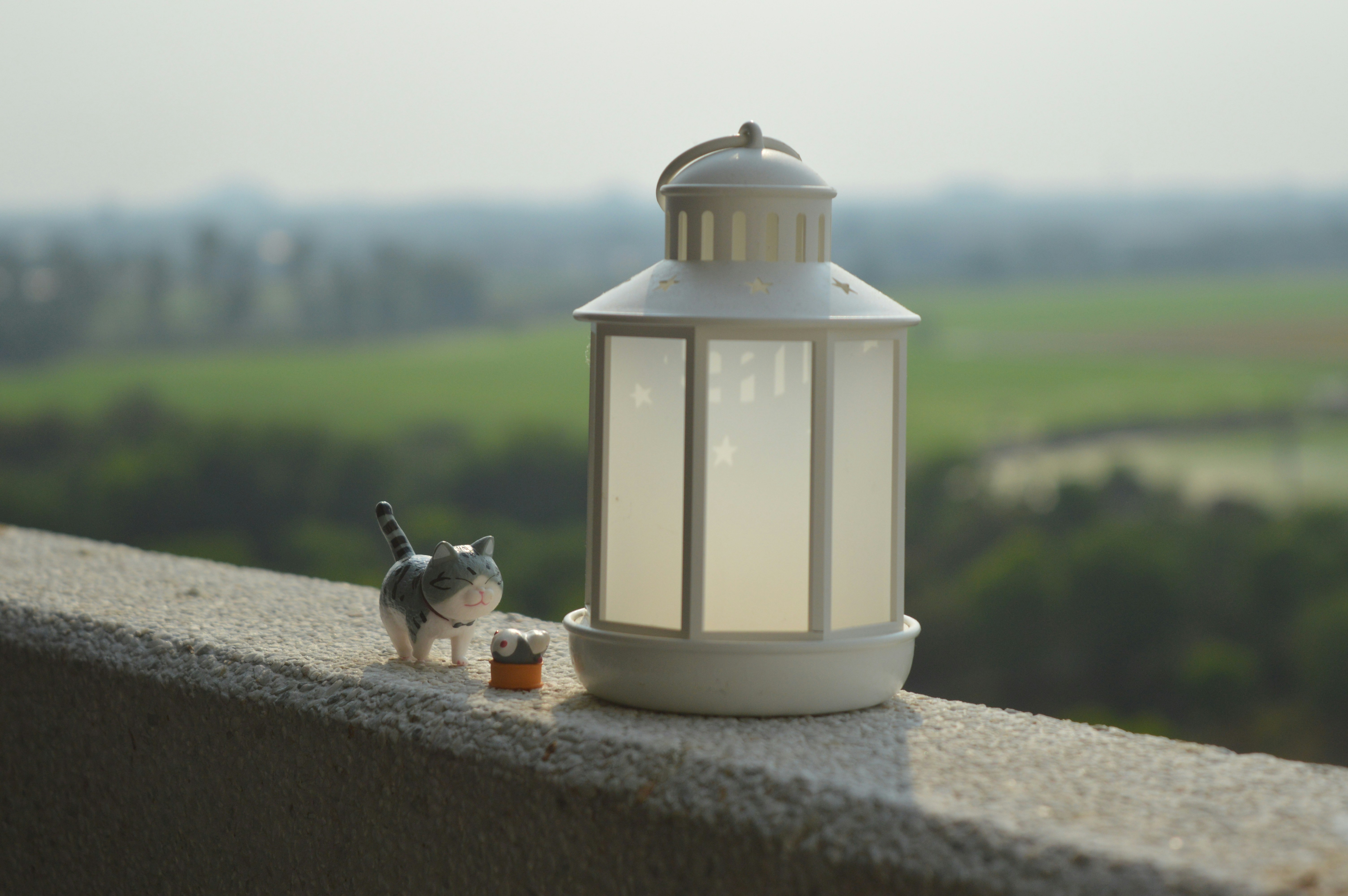 a small dog standing next to a lamp on a ledge