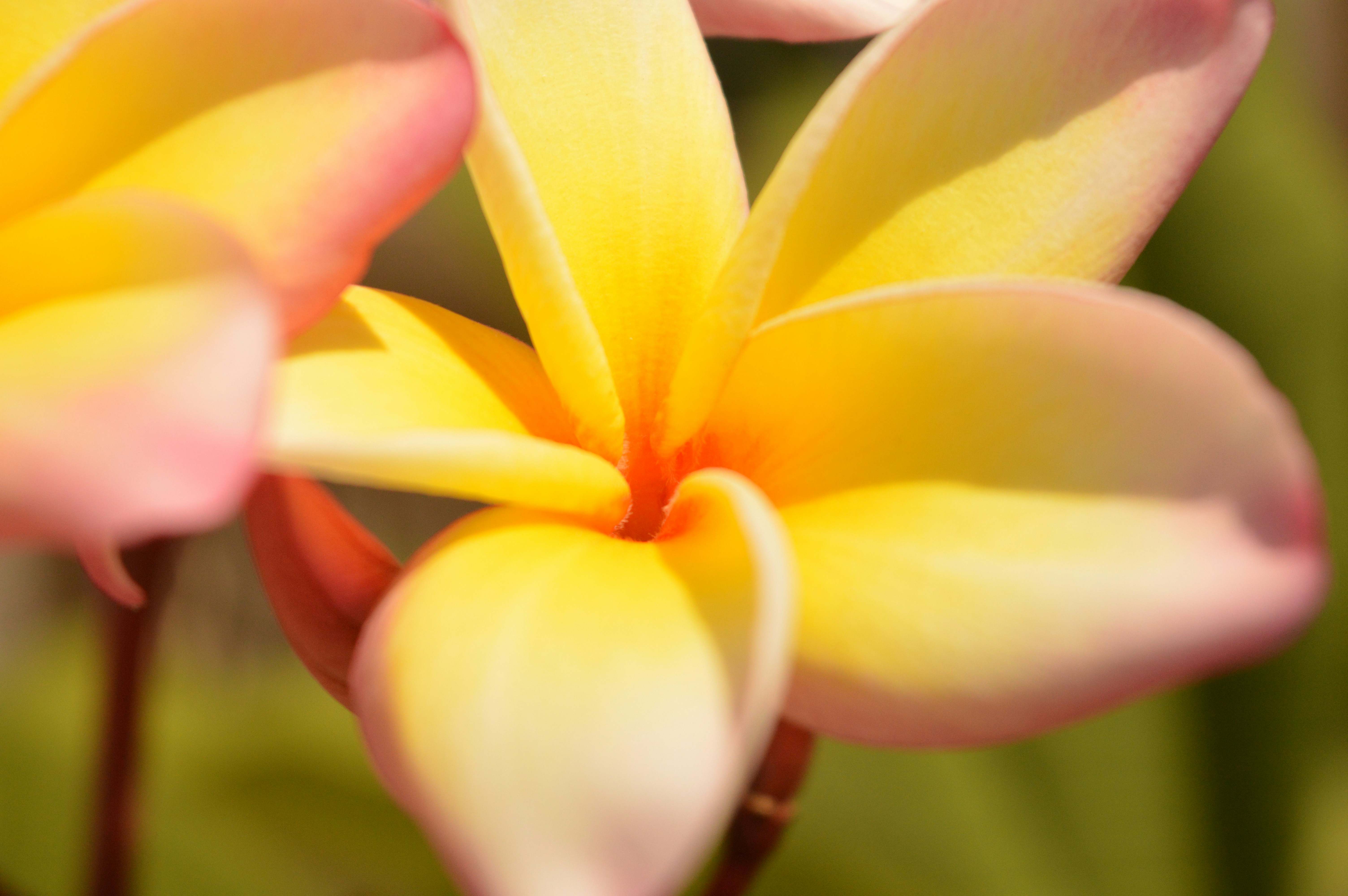 Photo by ally_belleee