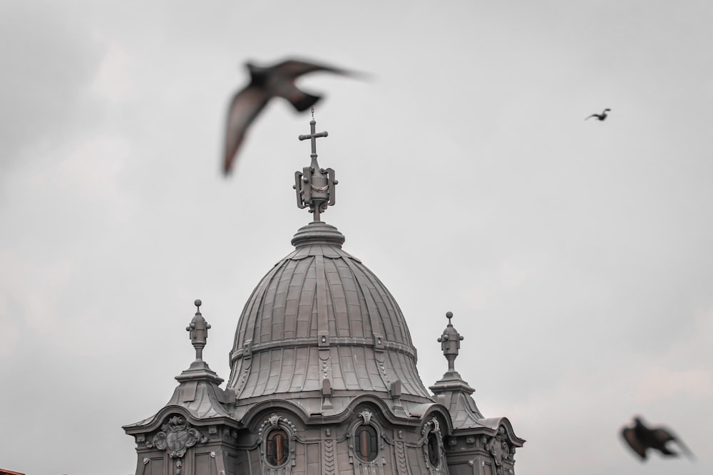 a flock of birds flying over a building