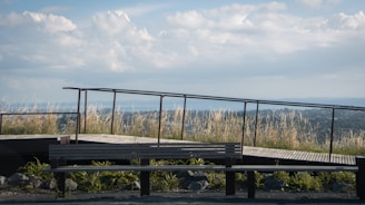 a bench on top of a hill overlooking a city