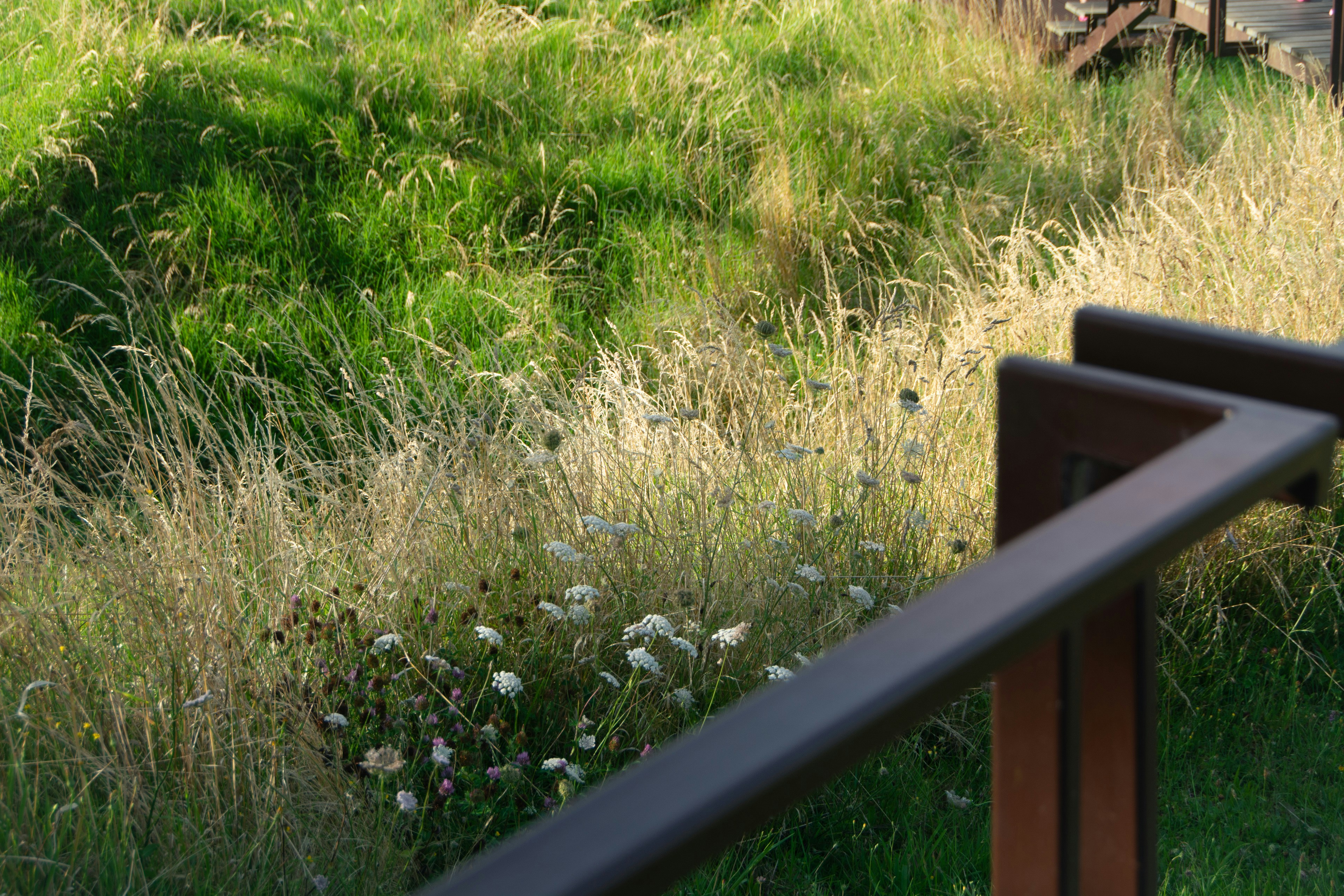 a wooden bench sitting in the middle of a lush green field