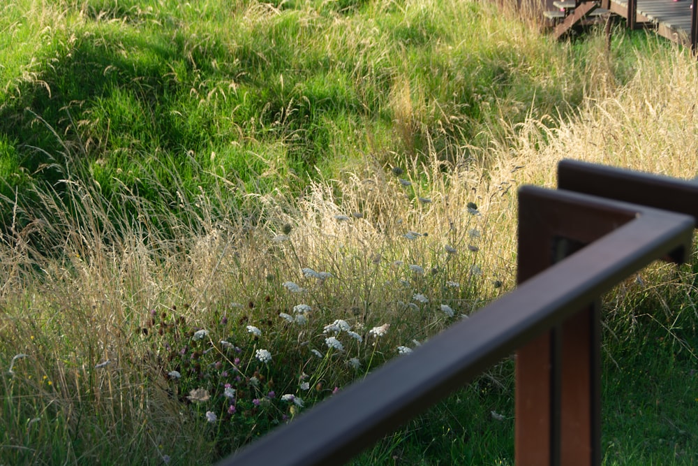 a wooden bench sitting in the middle of a lush green field