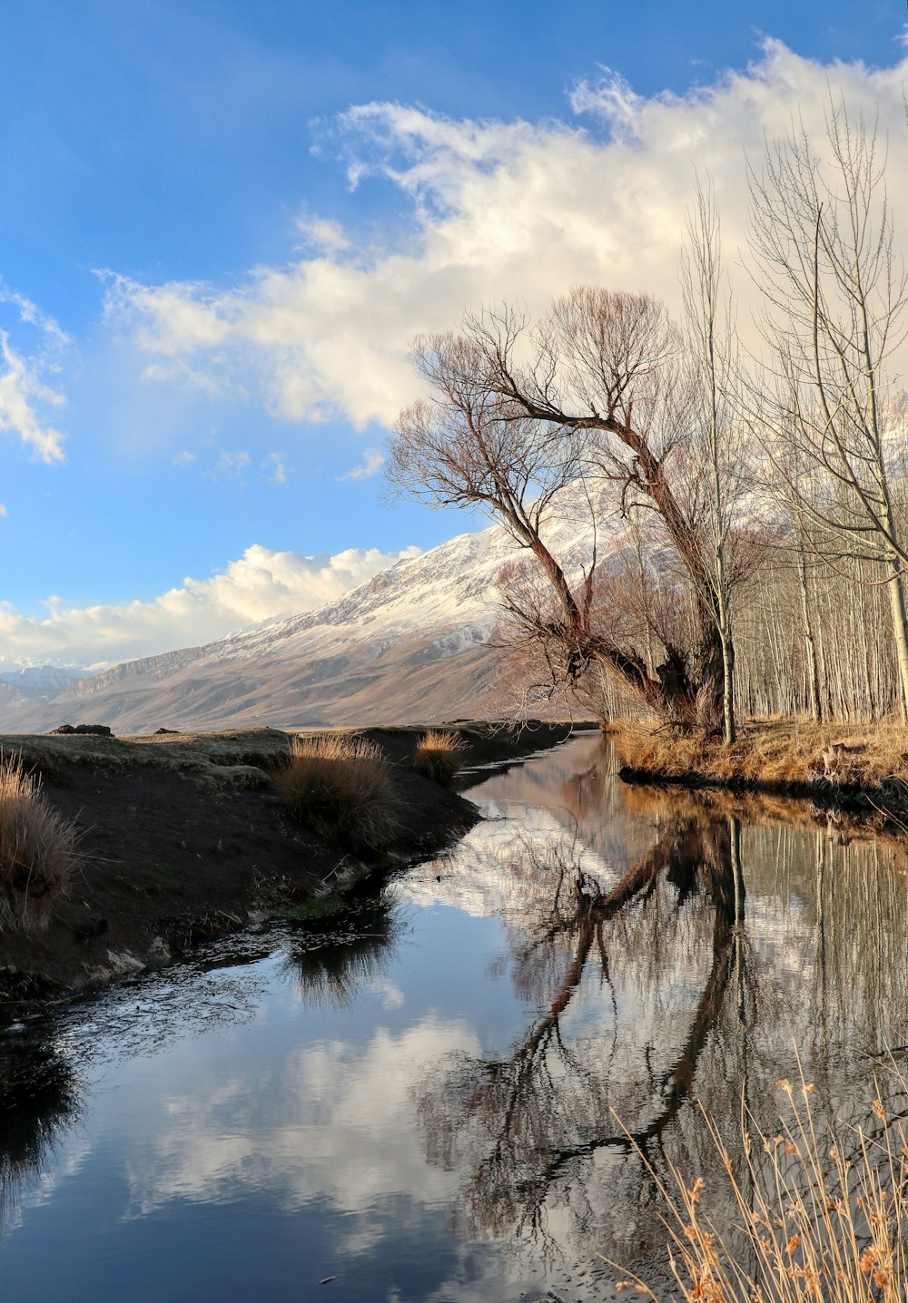 a body of water surrounded by dry grass and trees