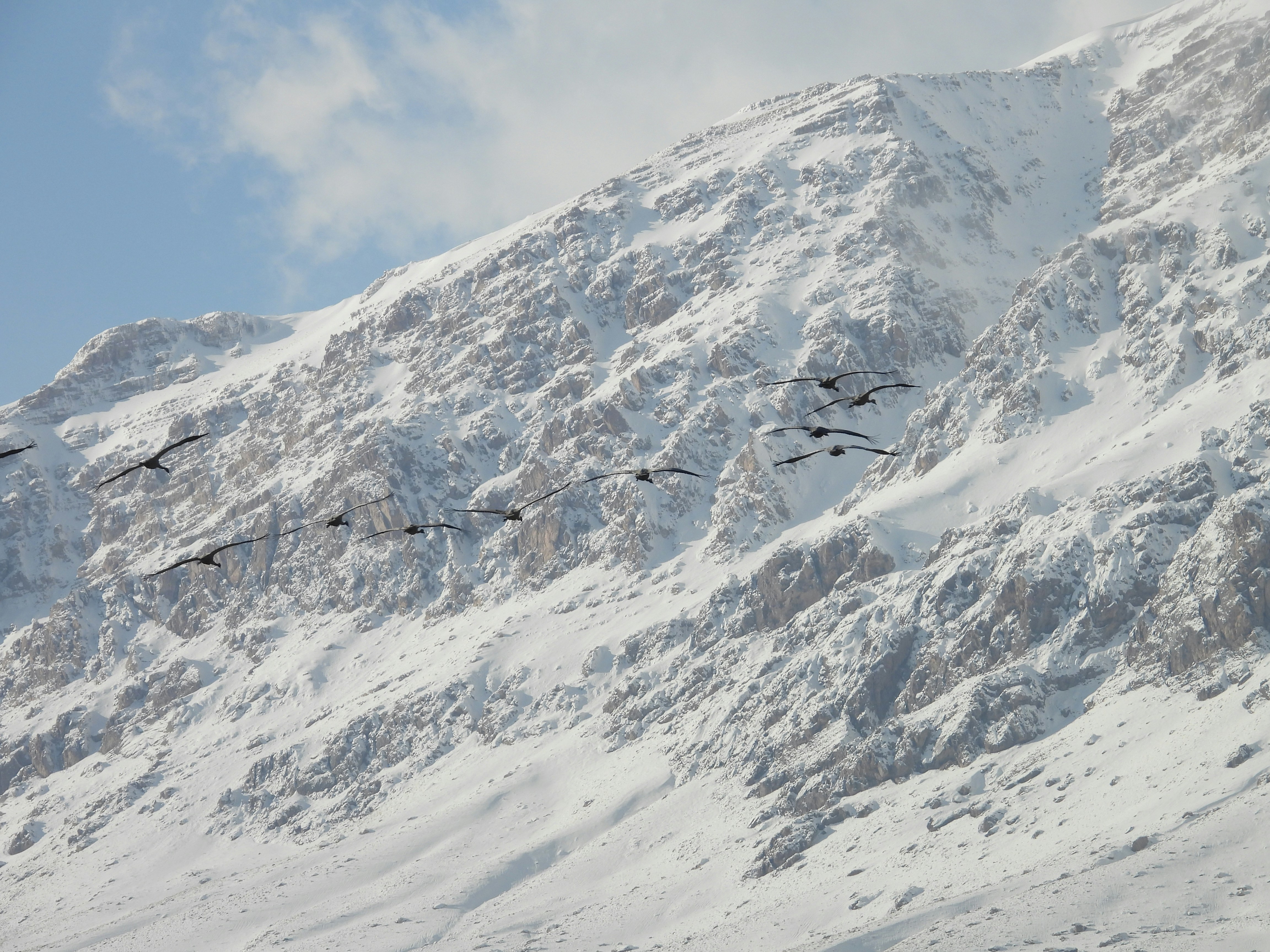 Photo by aliarjmandi