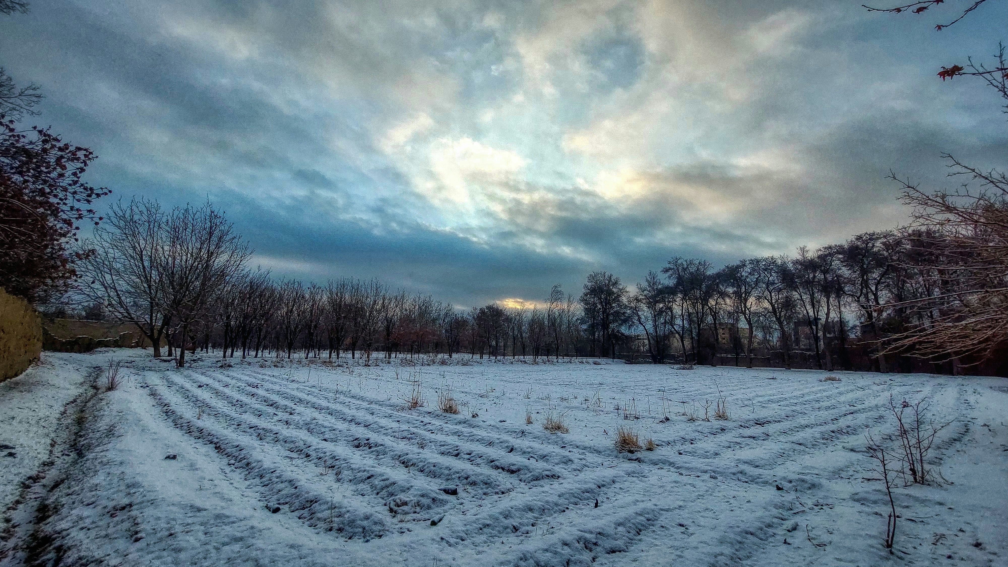 Photo by aliarjmandi