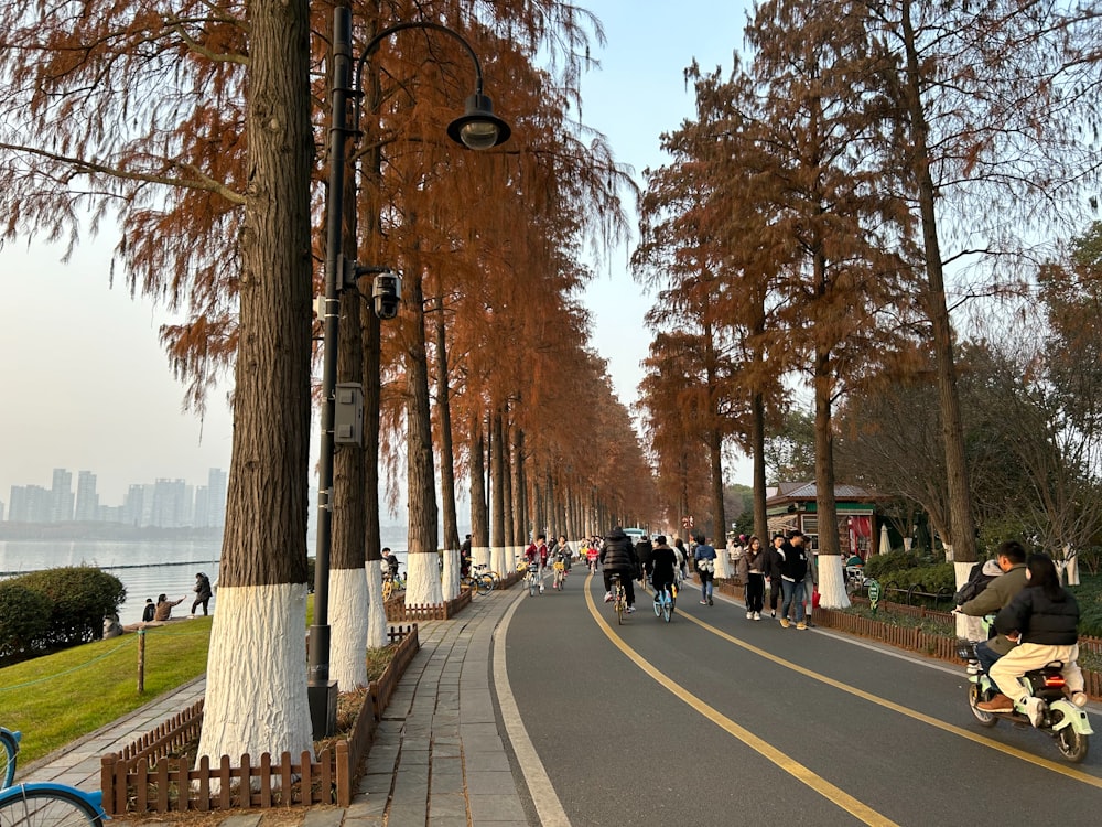 a group of people riding skateboards down a street