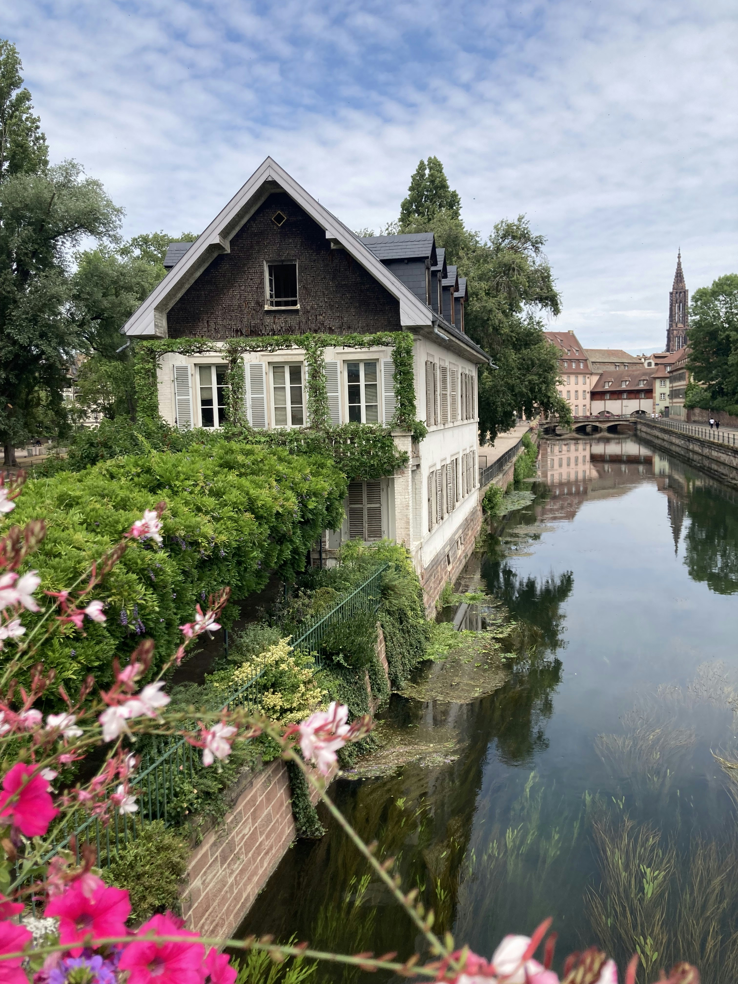 Photo by miss_startup