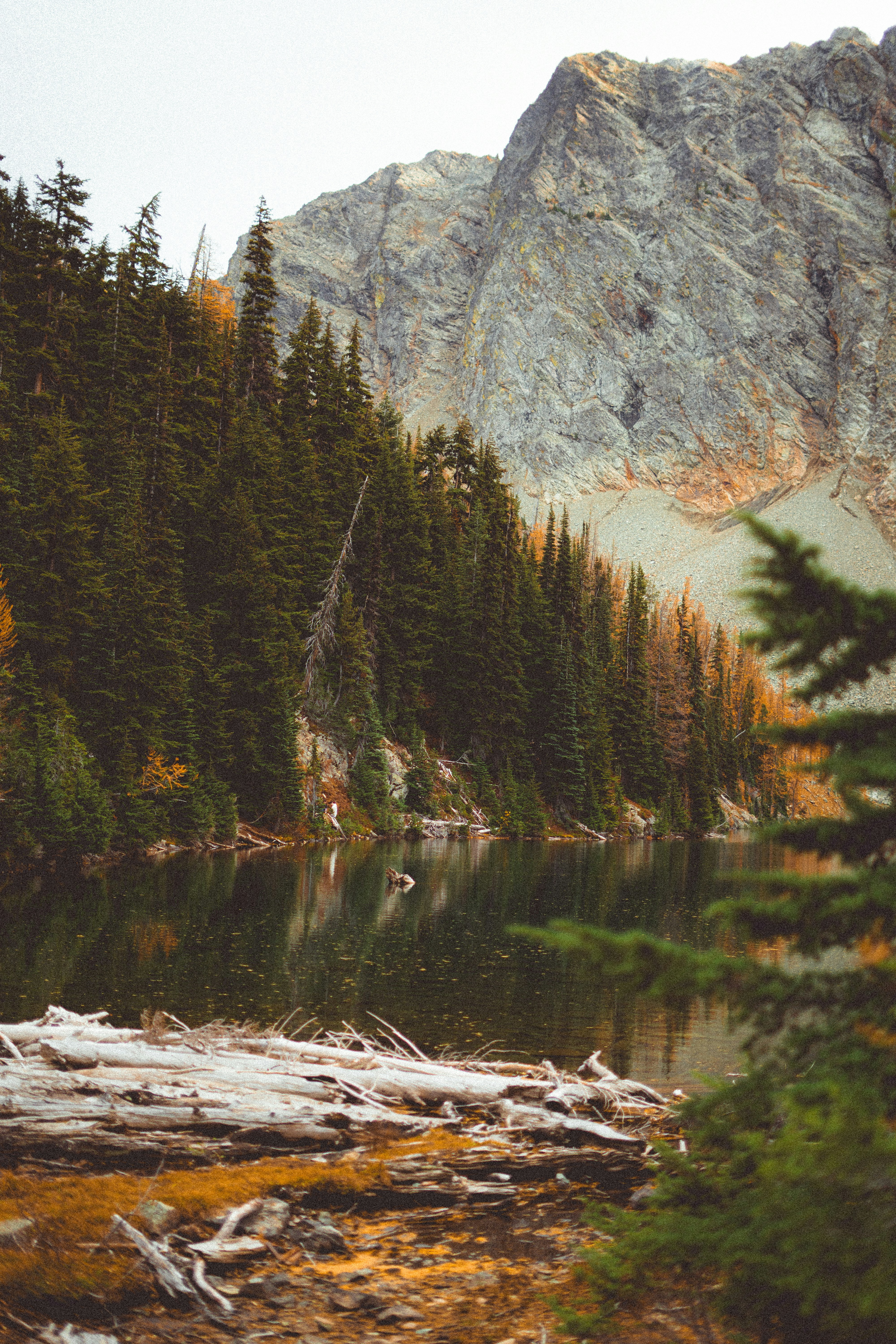 Photo by karthikpansetty