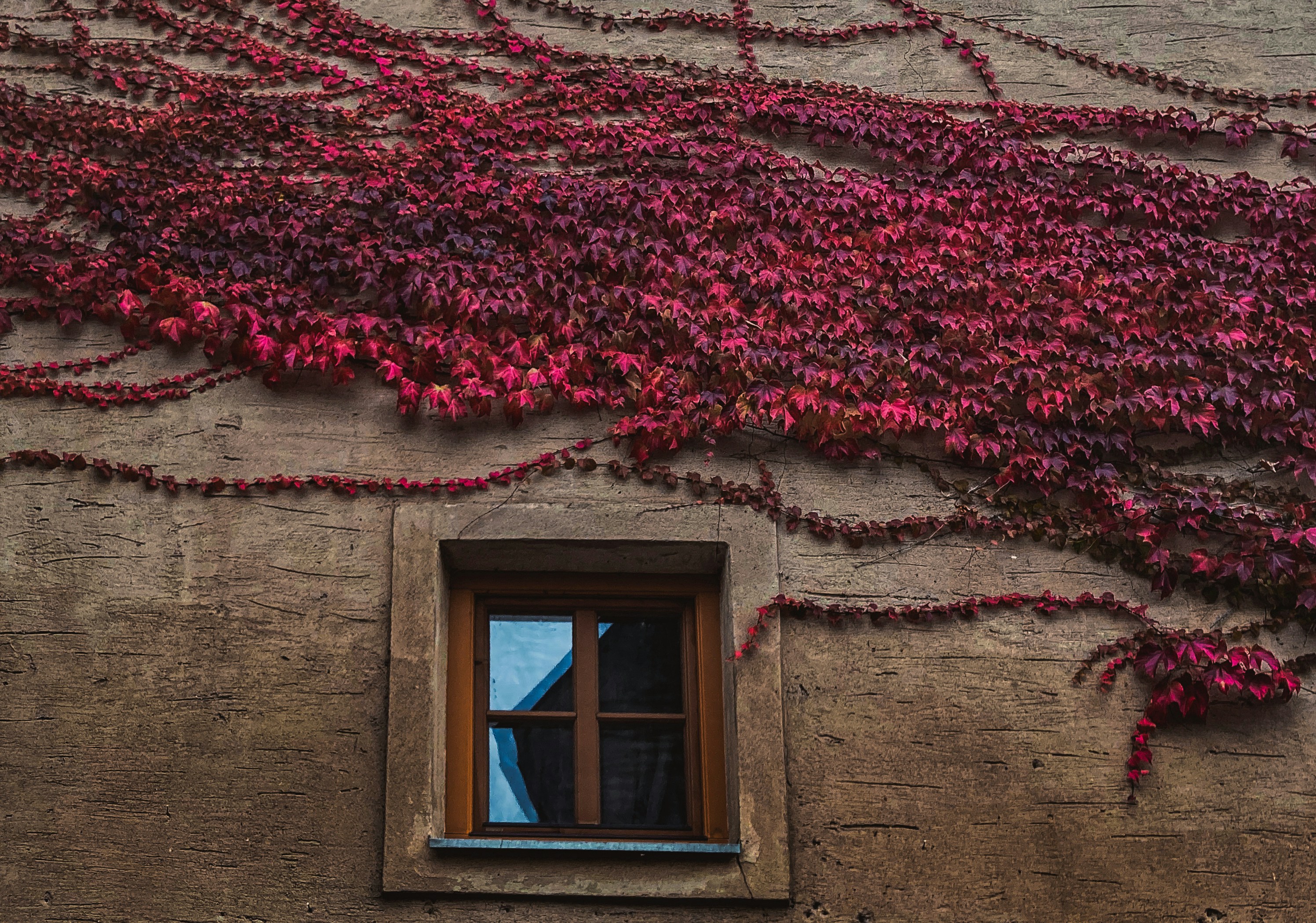 Photo by prics