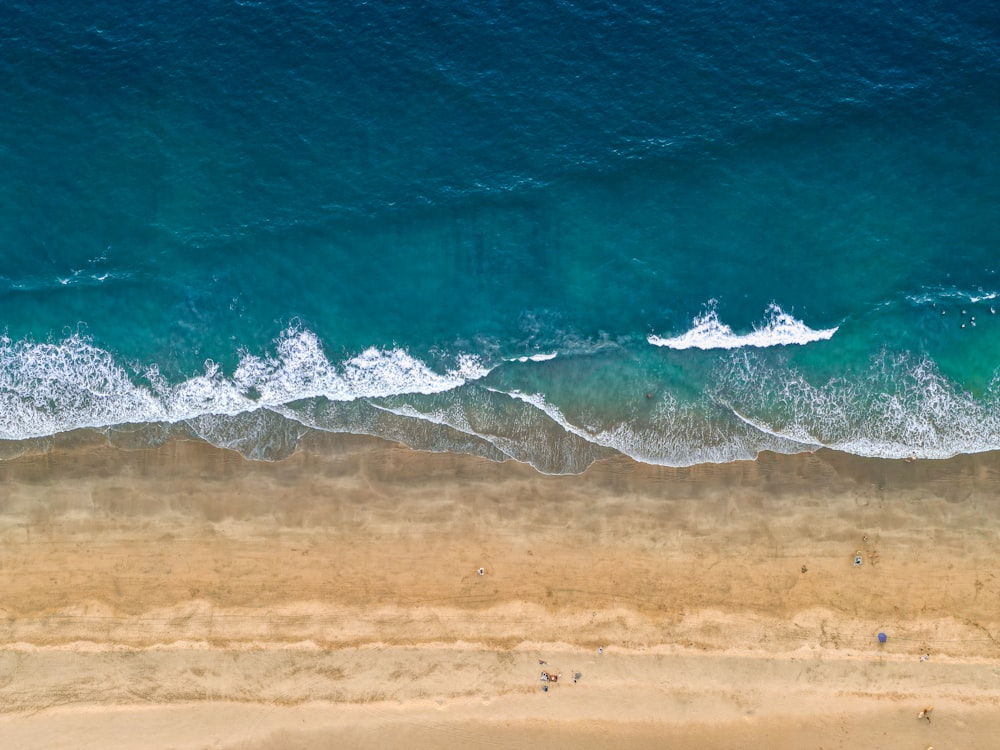 an aerial view of a beach and ocean