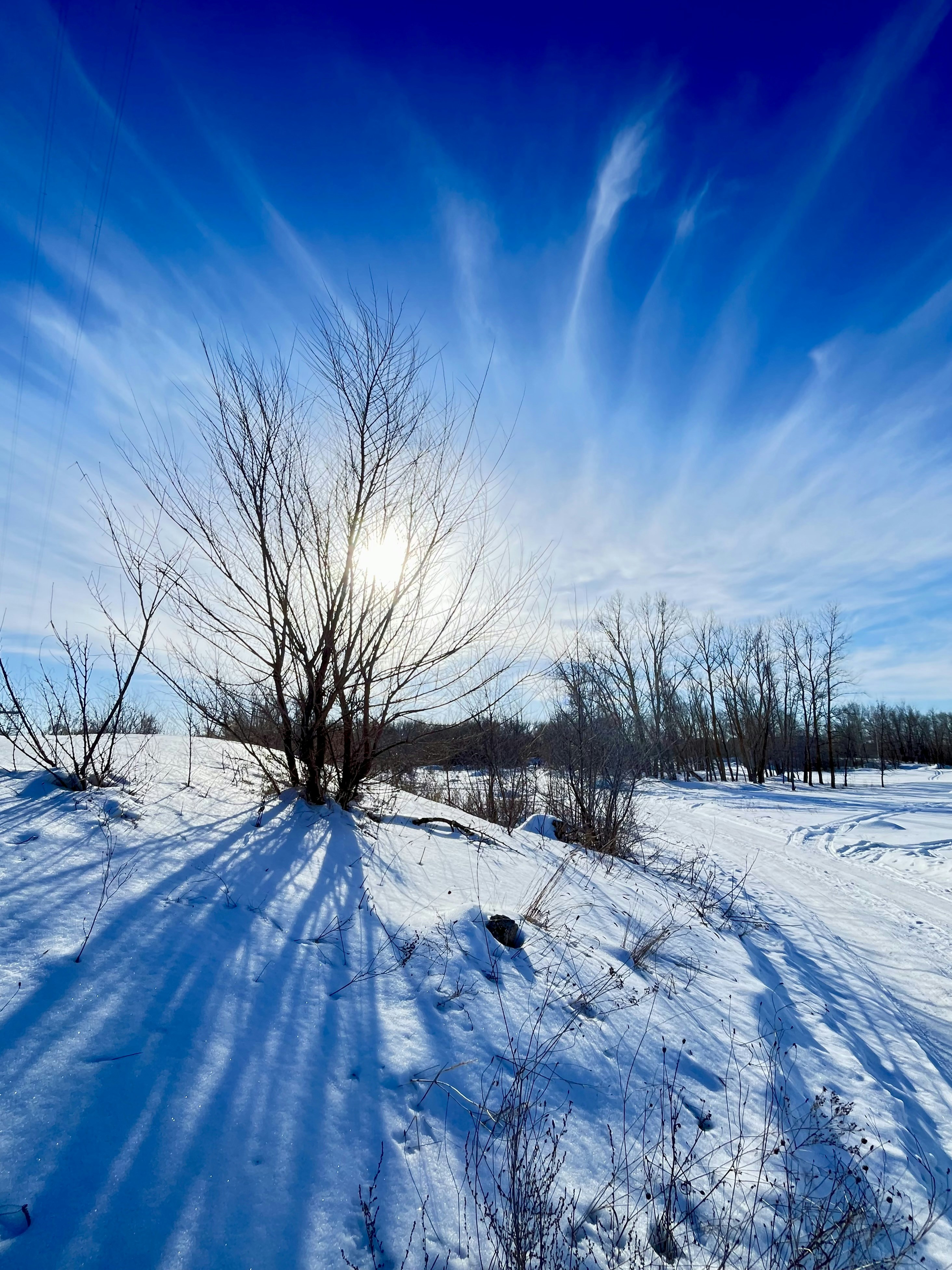 Photo by katrin_bloom