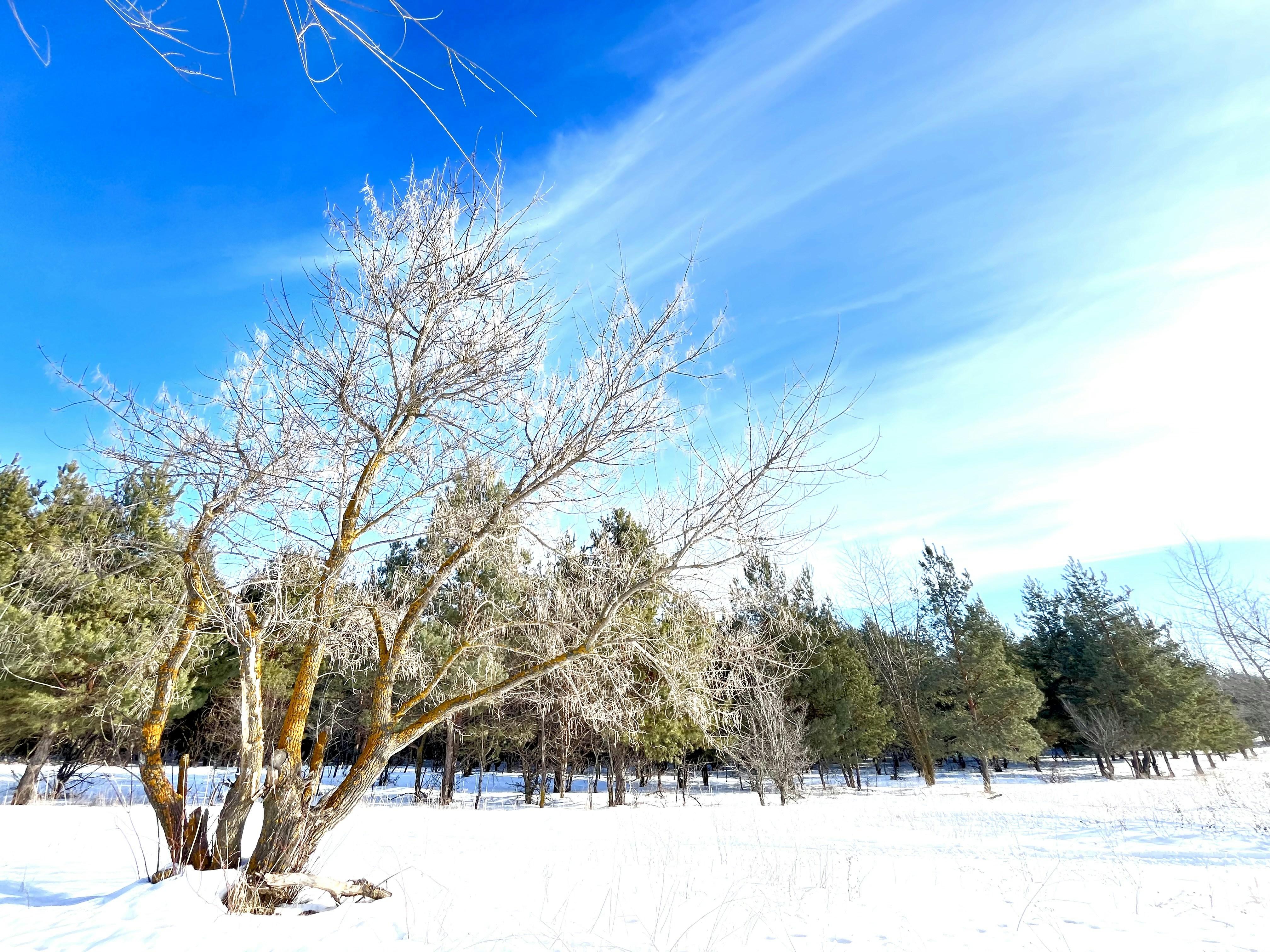 Photo by katrin_bloom