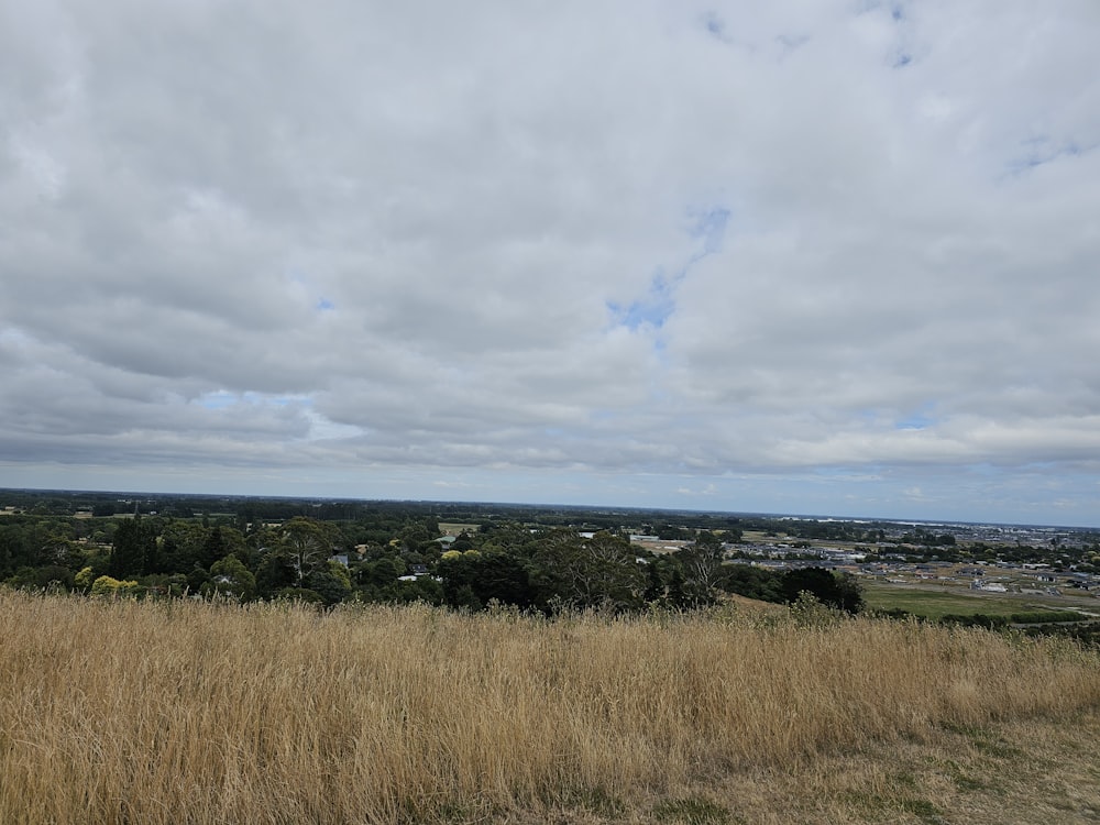 a view of a city from a hill top