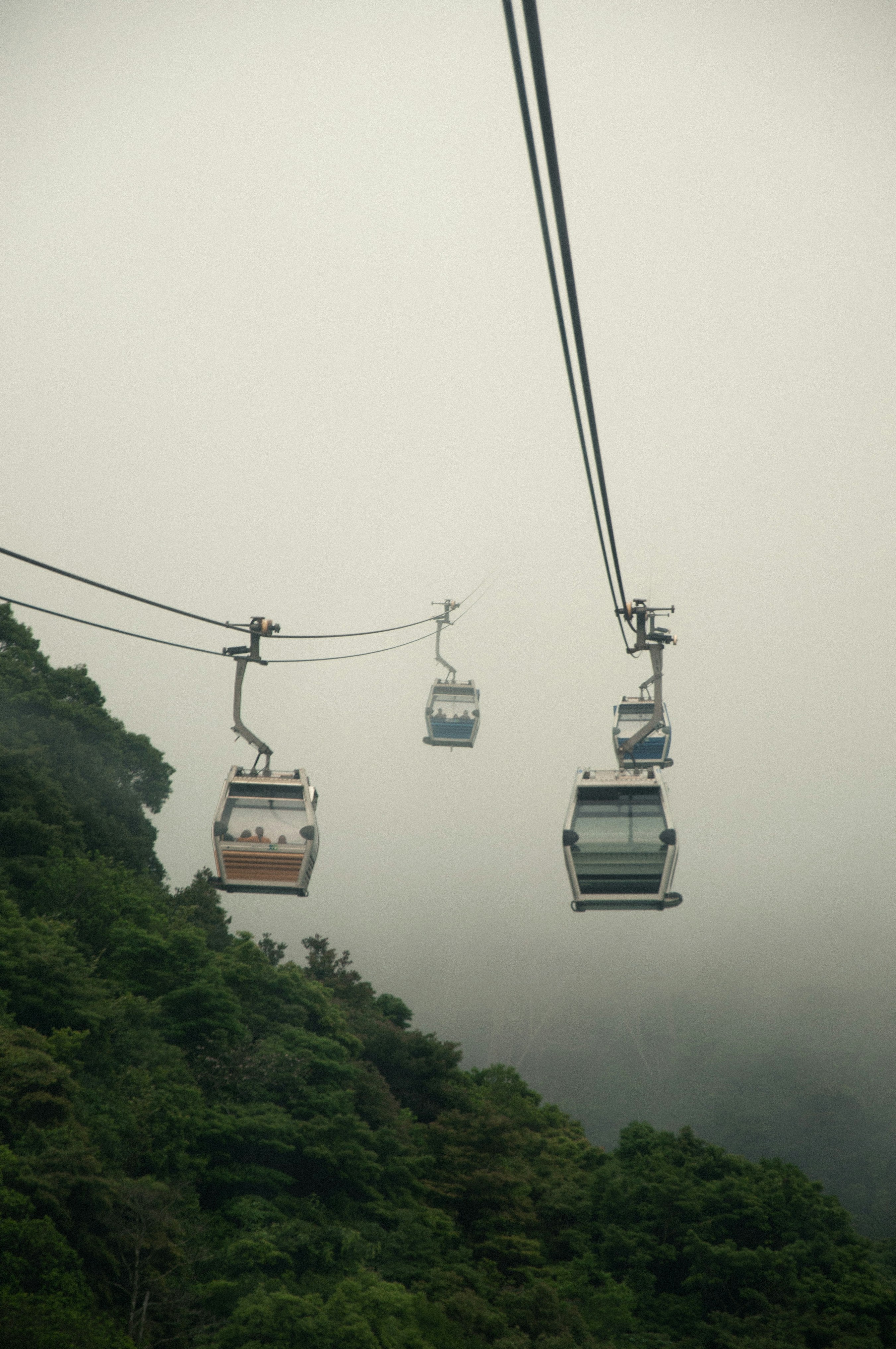 Photo by nilepereiraa